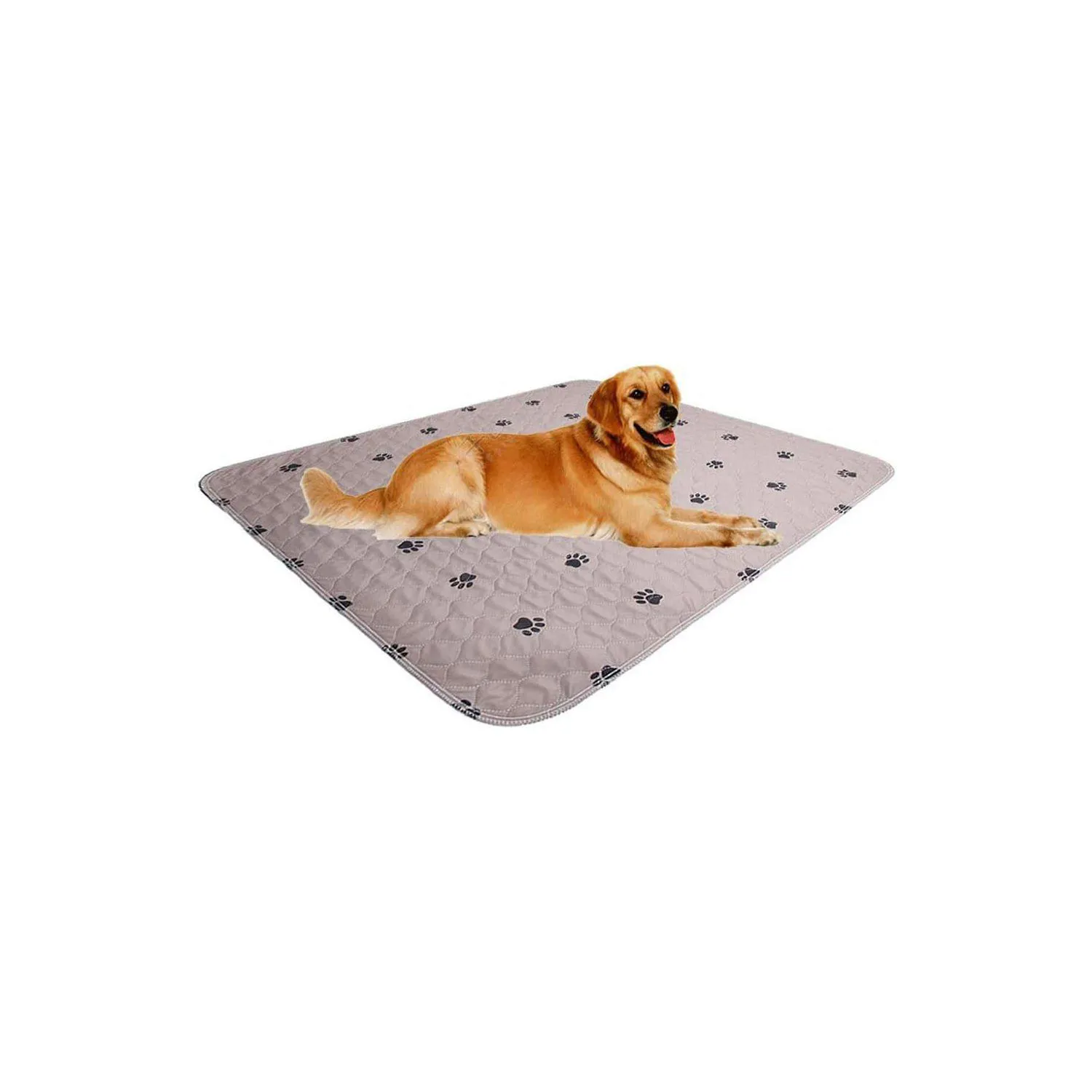 Pañales Reutilizables para Perros con Base Antideslizante y Alta Absorción Color Marrón