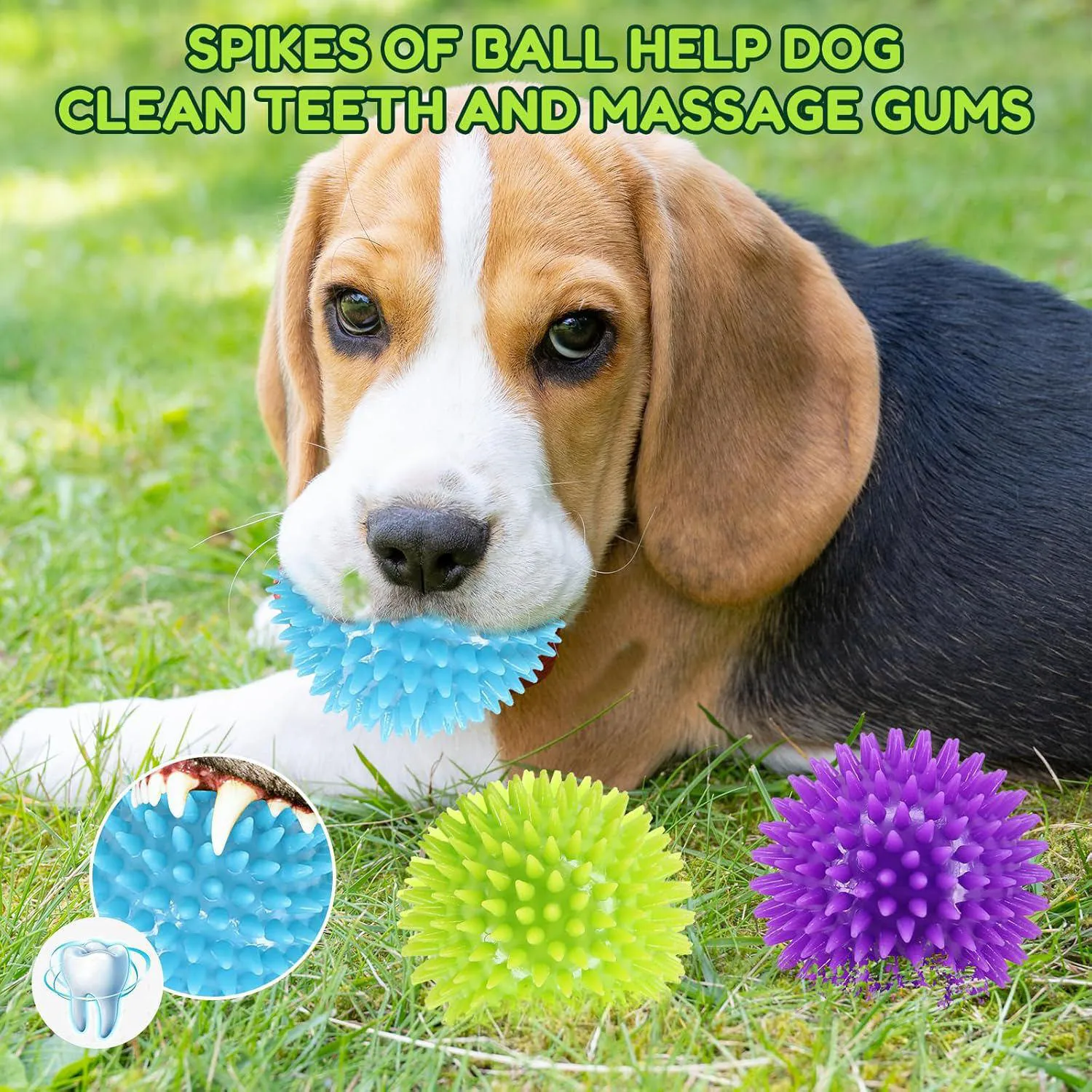 Pelotas Chirriantes Para Perros Pequeños Paquete De Seis Con Diseño Masticable 3