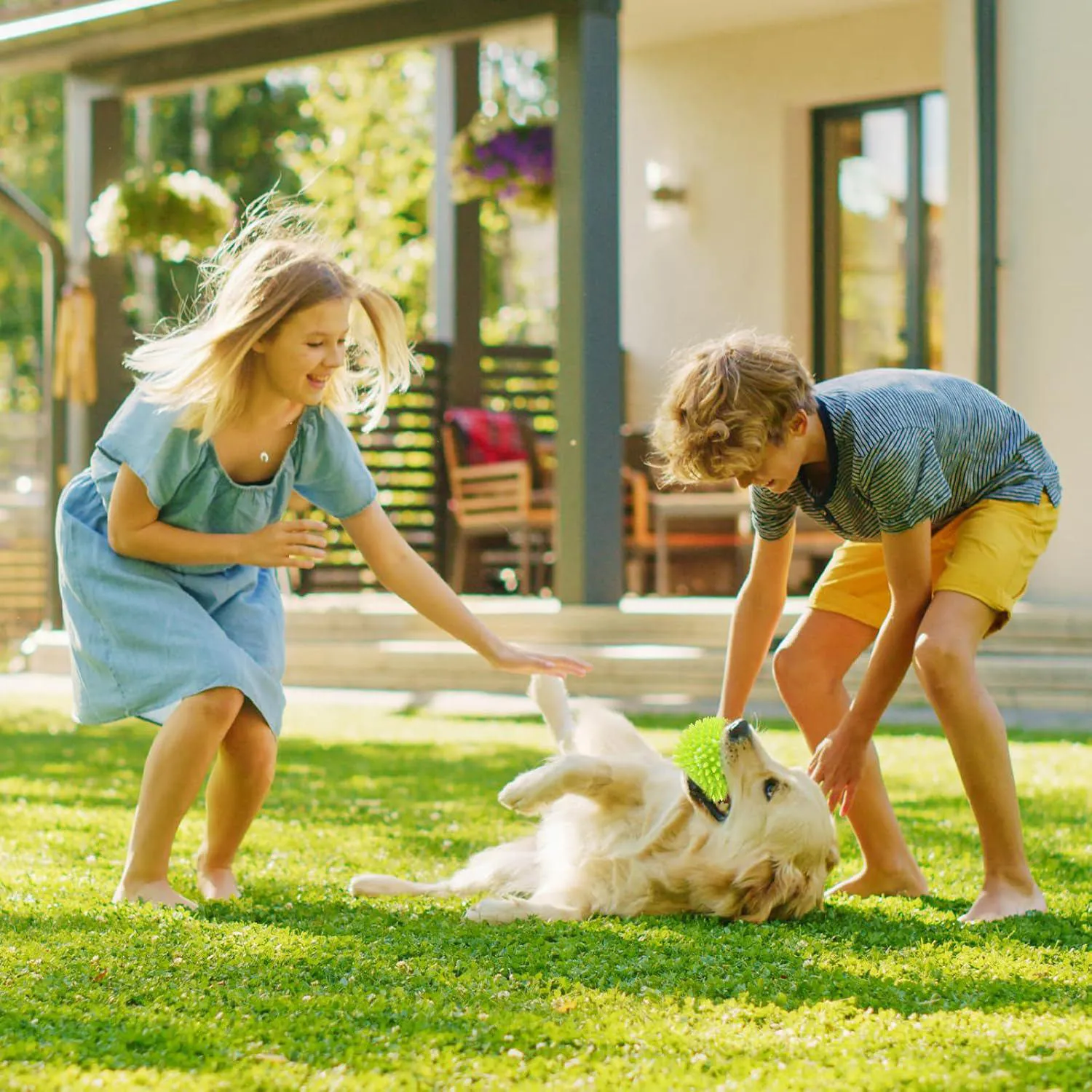 Pelotas Chirriantes Para Perros Pequeños Paquete De Seis Con Diseño Masticable 7