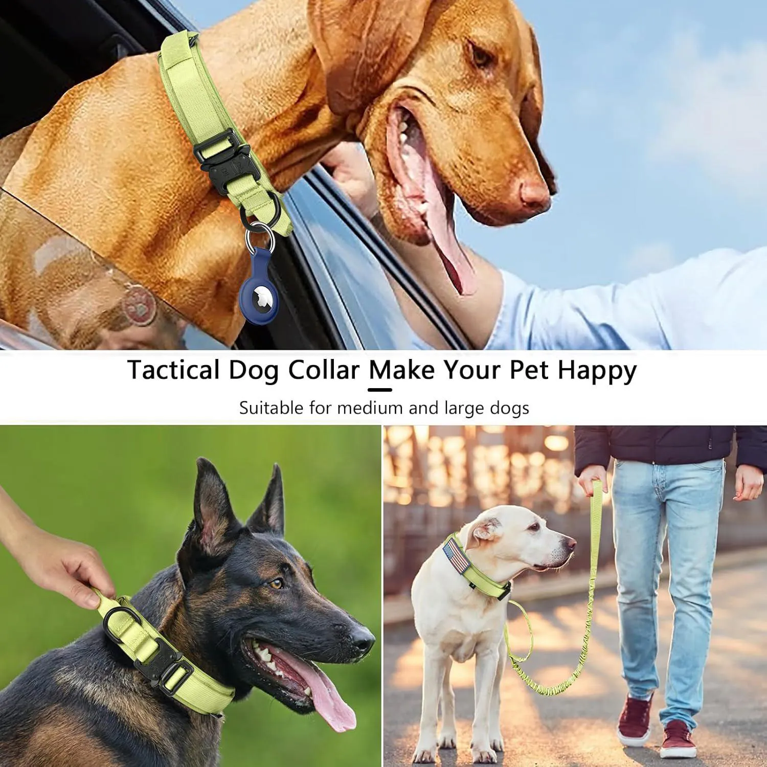 Collar Táctico para Perros Ajustable XXL Set Spring Grass 4