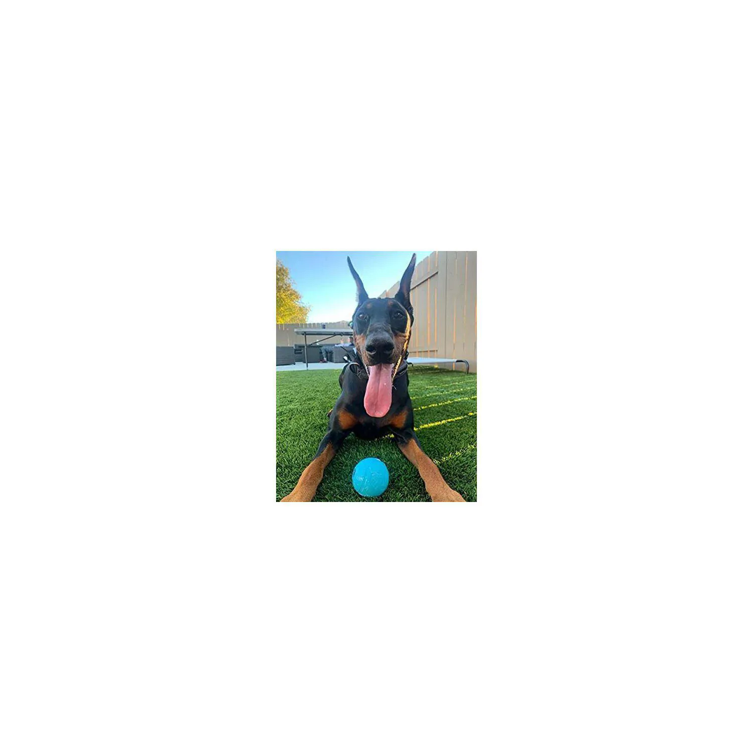 Pelotas Resistentes para Perros con Diseño Seguro y Rebote Activo Color Azul 7
