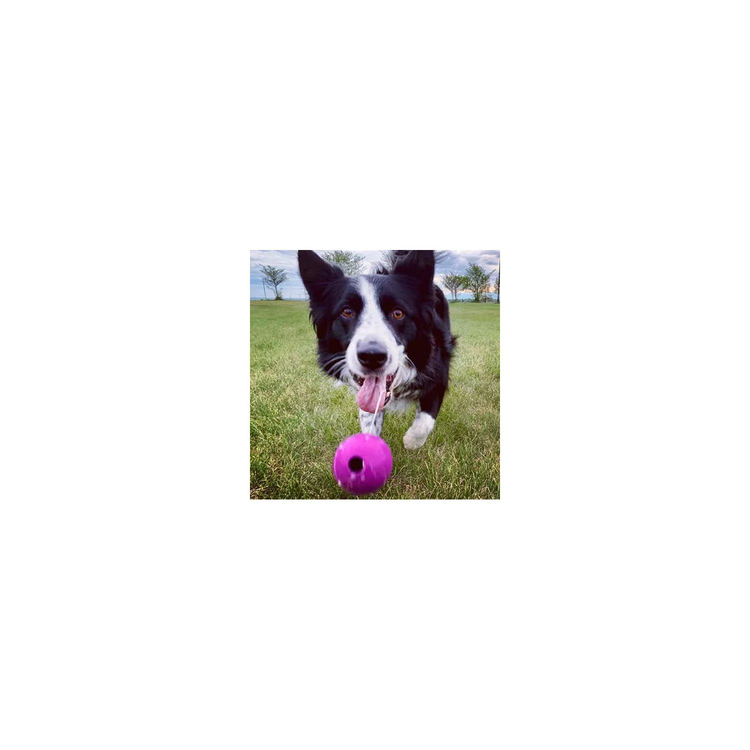 Pelotas Resistentes para Perros con Diseño Seguro y Rebote Activo Color Azul 8