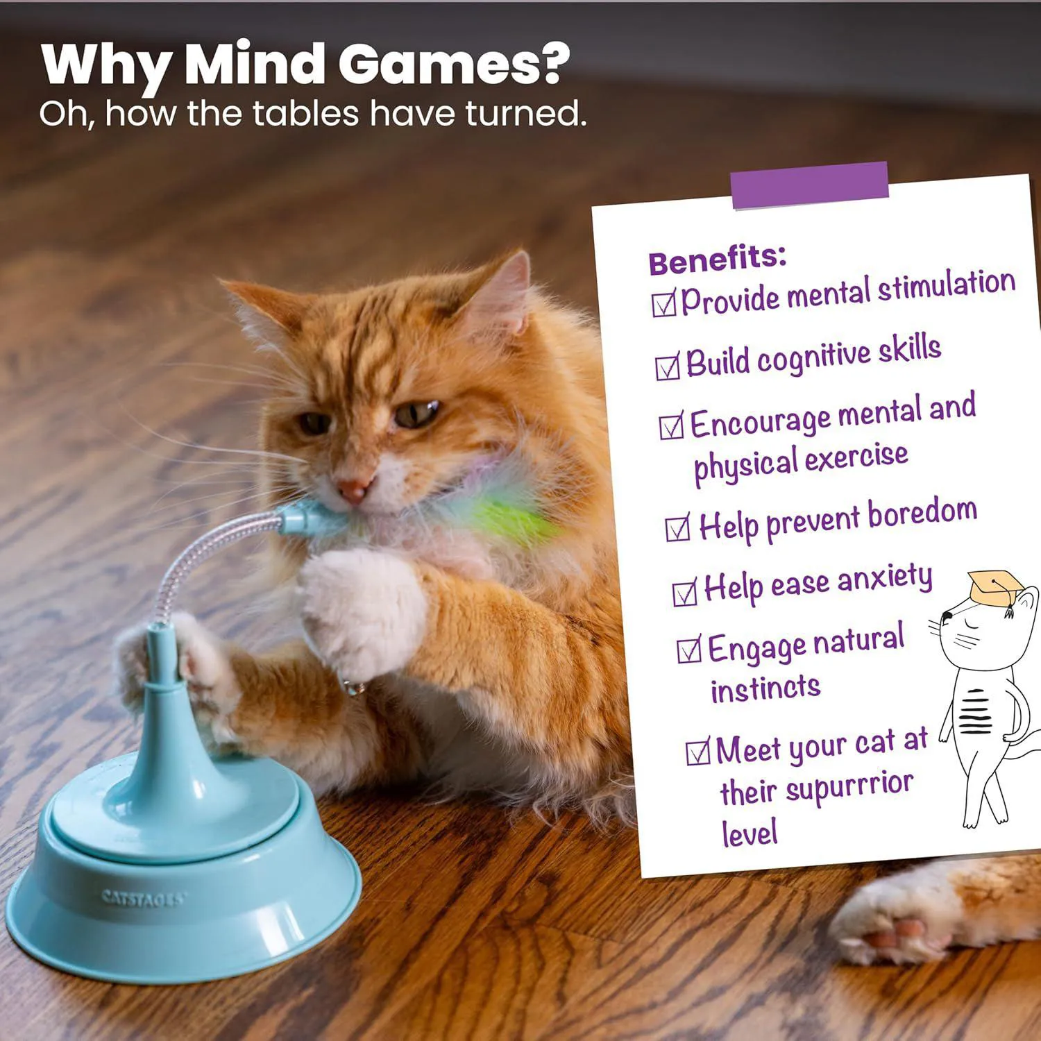 Juguete Interactivo para Gatos con Resorte Plumas y Cascabeles 6