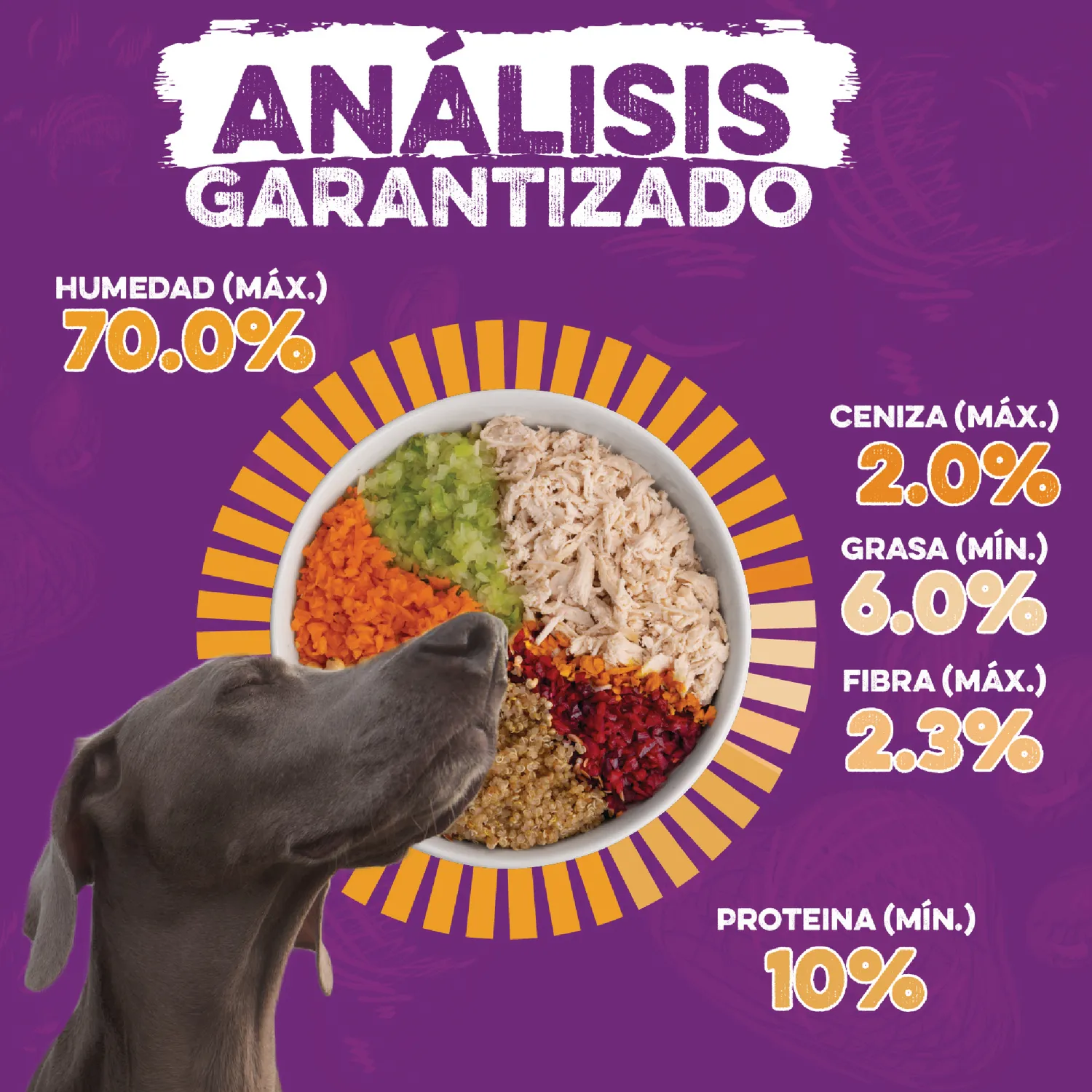Comida Húmeda Para Perro Dingo Nutri Bowl Pollo-Carne 400gr X 2 Unidades 5