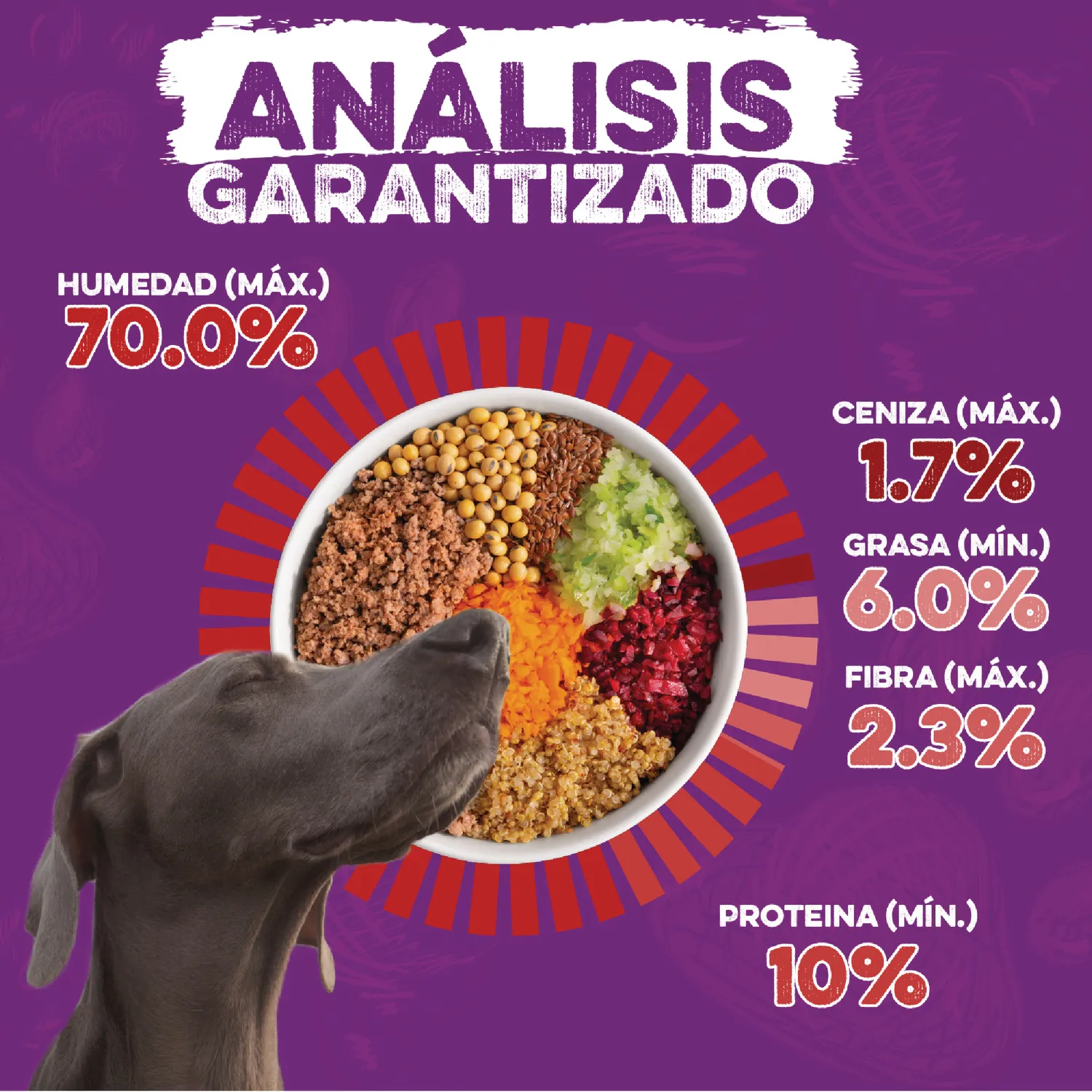 Comida Húmeda Para Perro Dingo Nutri Bowl Pollo-Carne 400gr X 2 Unidades 6