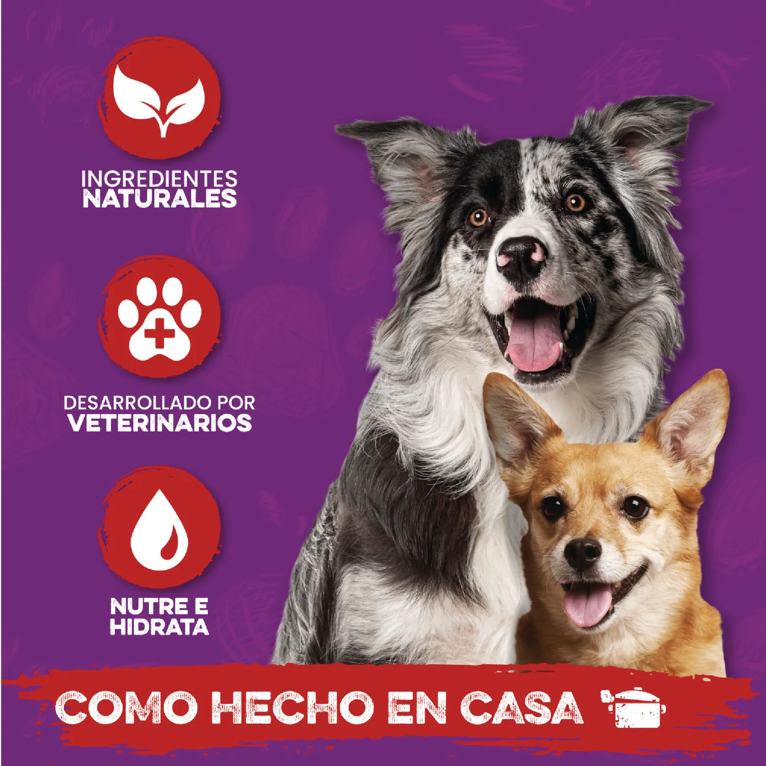 Comida Húmeda Para Perro Dingo Nutri Bowl Pollo-Carne 400gr X 2 Unidades 7