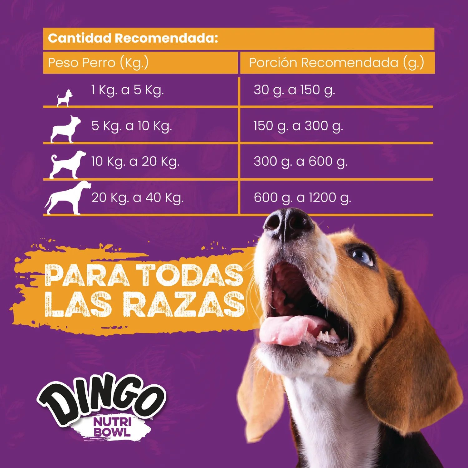 Comida Húmeda Para Perro Dingo Nutri Bowl Pollo-Carne 400gr X 2 Unidades 8