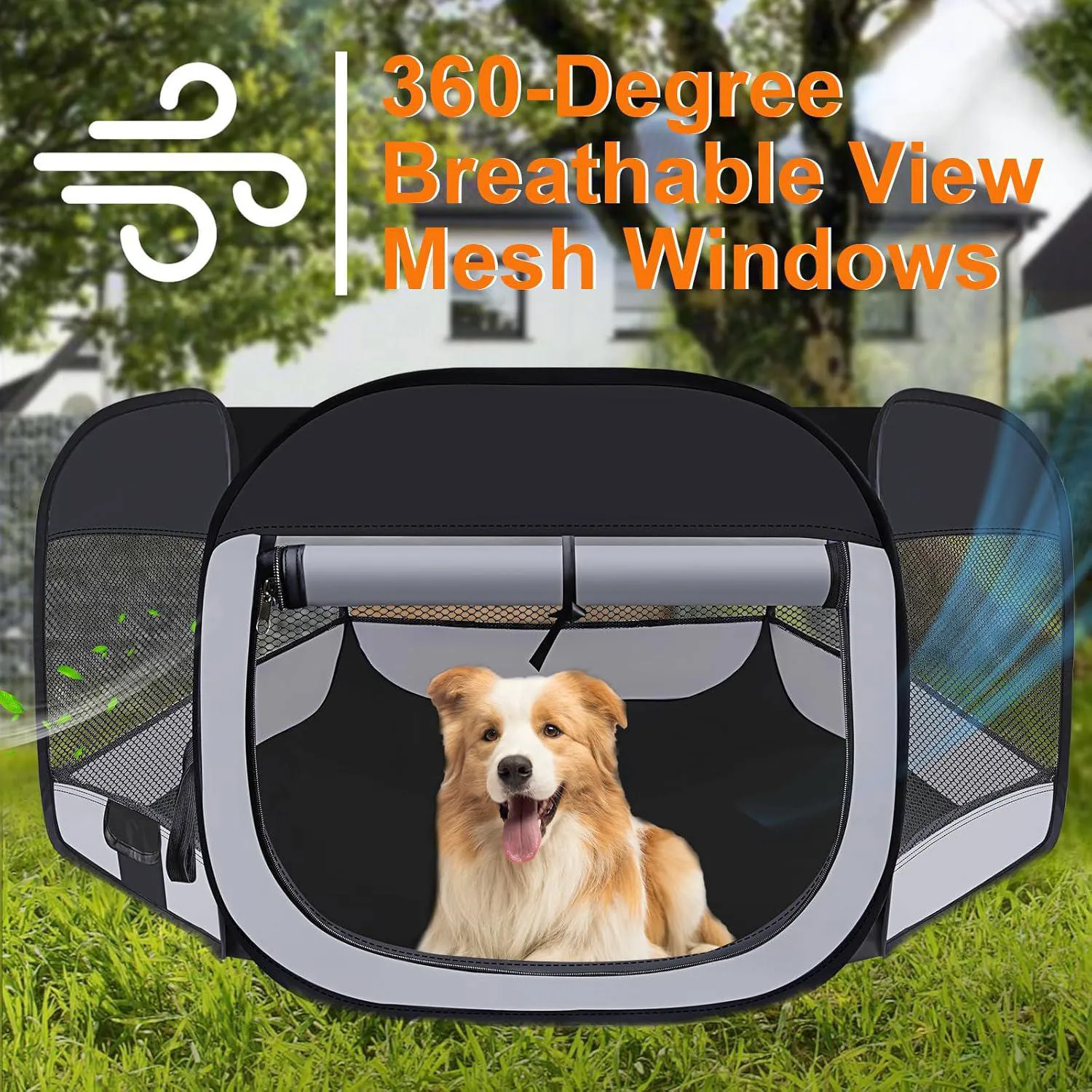 Corral Wn's Day Portátil para Mascotas Pequeñas con Bolsa de Transporte 4