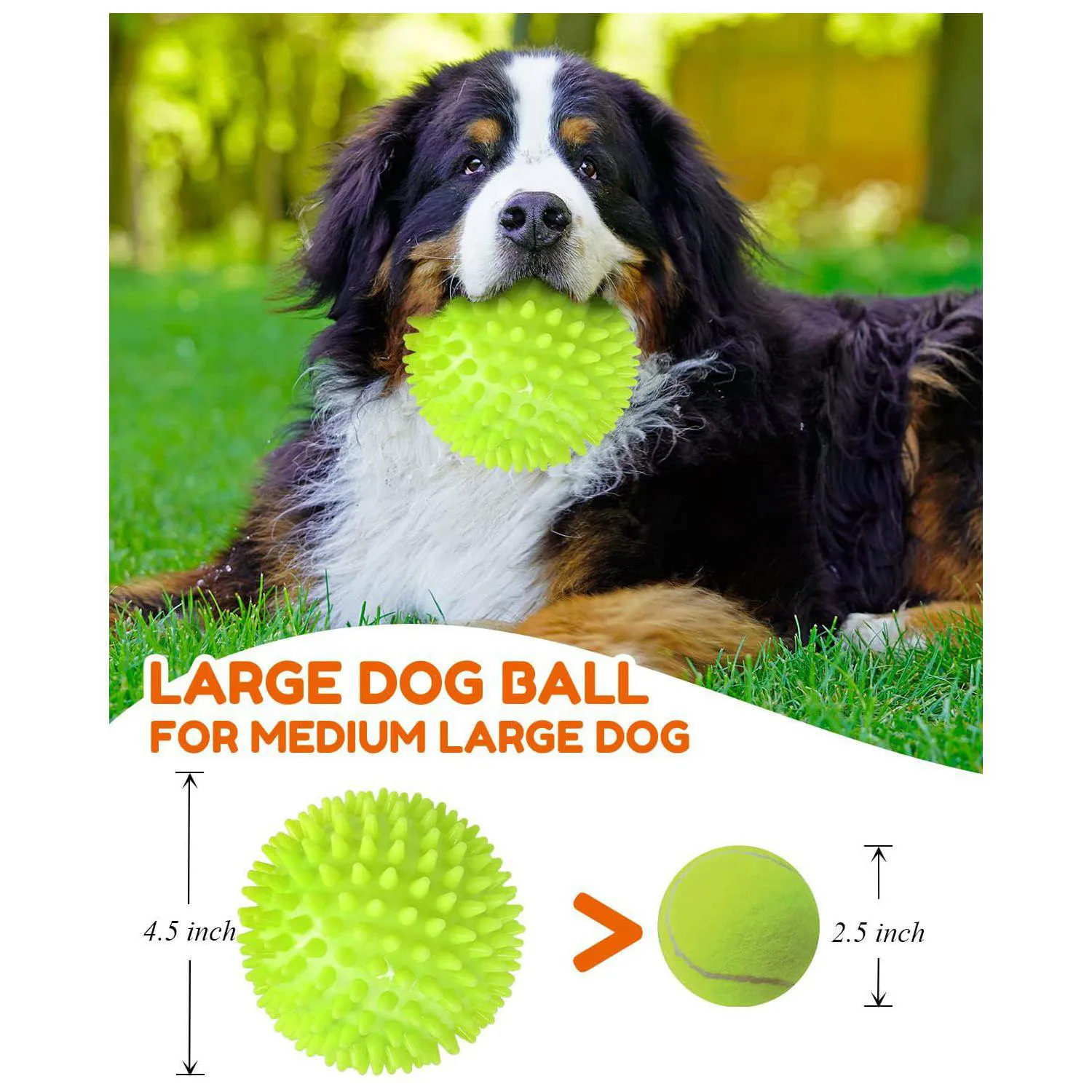 Pelota Chirriante Resistente Para Perros Grandes Con Pinchos Limpia Dientes