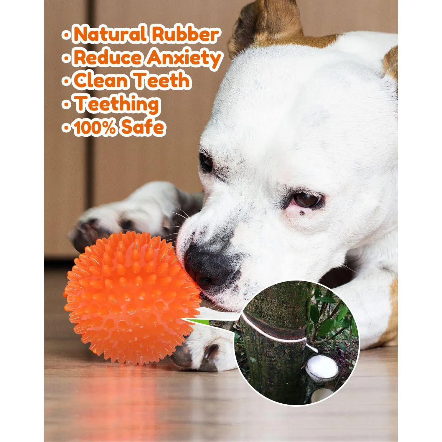 Pelota Chirriante Resistente Para Perros Grandes Con Pinchos Limpia Dientes 3