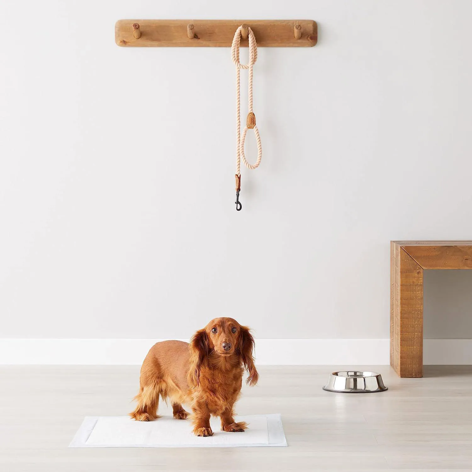 Pañales Absorbentes Amazon Basics para Perros y Cachorros con Secado Rápido 6