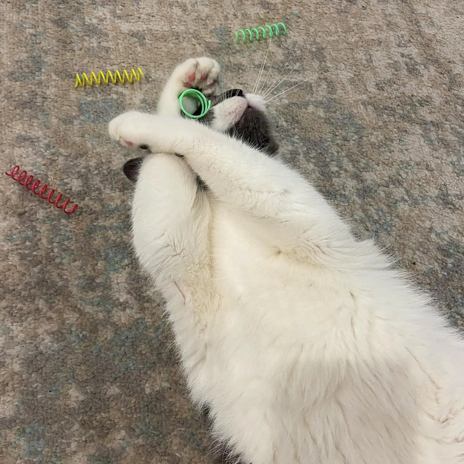 Resortes SPOT Para Gatos Con Juego Activo Y Movimiento Rebotante 3