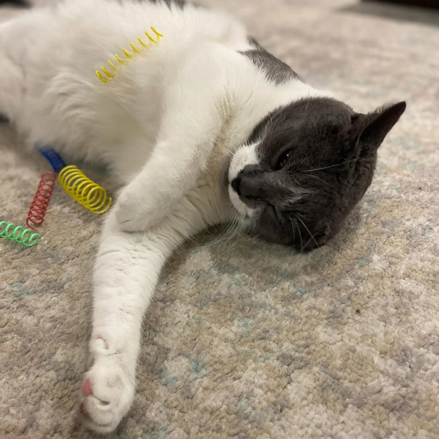 Resortes SPOT Para Gatos Con Juego Activo Y Movimiento Rebotante 9