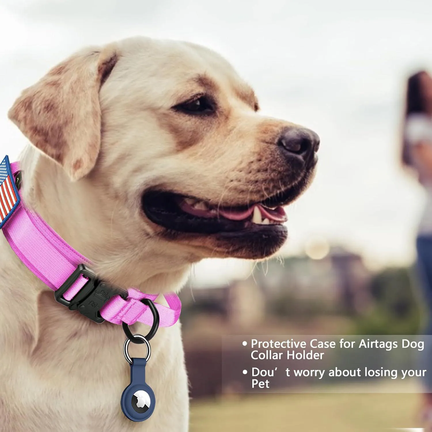 Collar Táctico Para Perro DAGANXI Con Funda Para AirTag Asa Y Parches Rosa