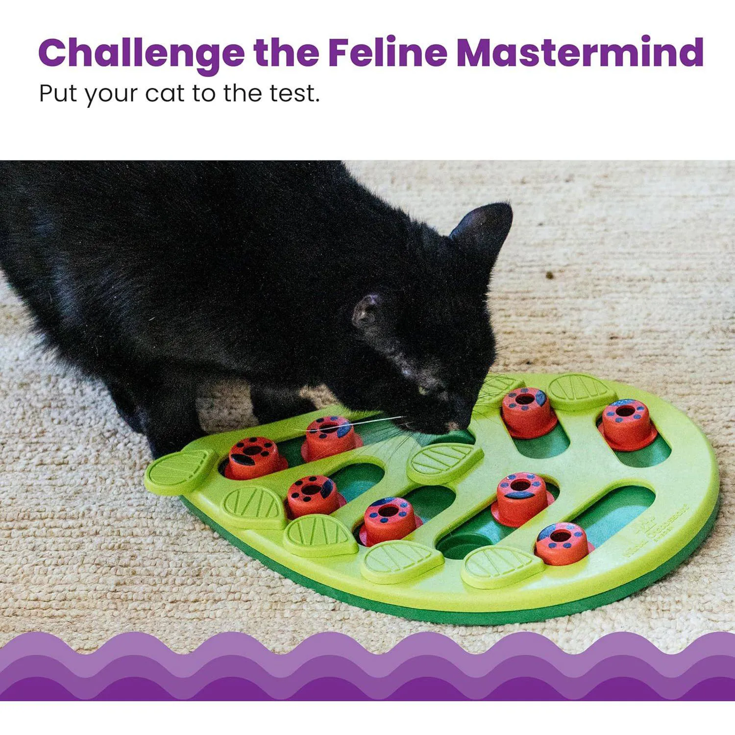 Juego Interactivo para Gatos con Compartimentos para Premios y Alimentación Lenta