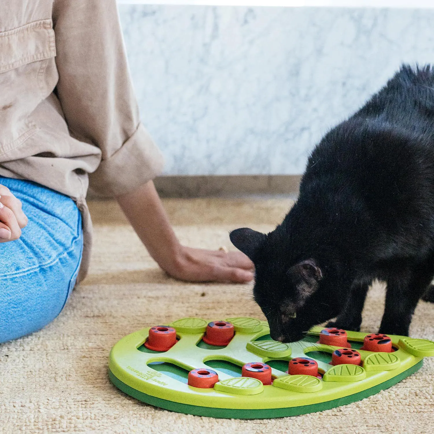 Juego Interactivo para Gatos con Compartimentos para Premios y Alimentación Lenta 8