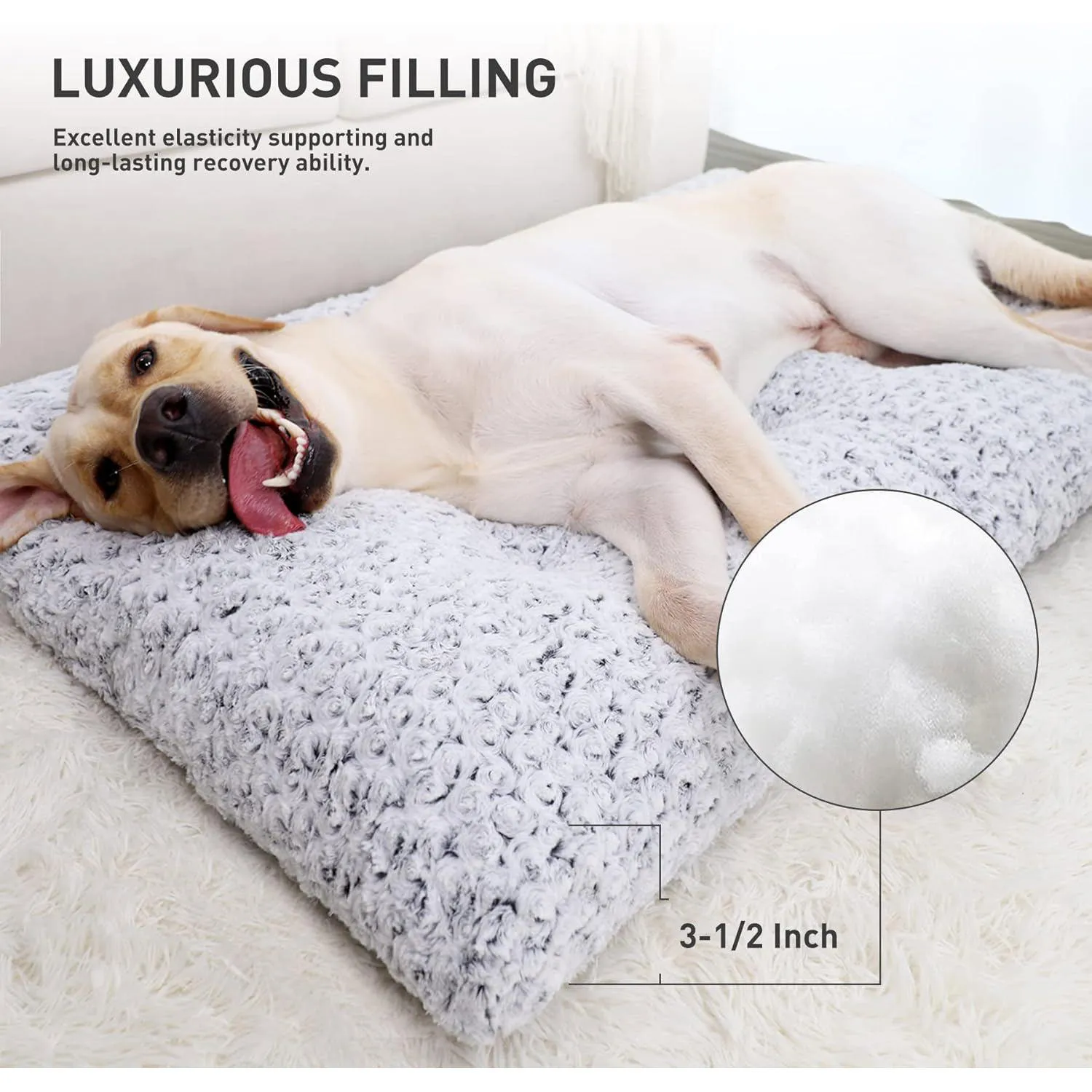 Cama Lavable Para Perro KSIIA Con Acolchado Antideslizante Y Terciopelo Suave 3