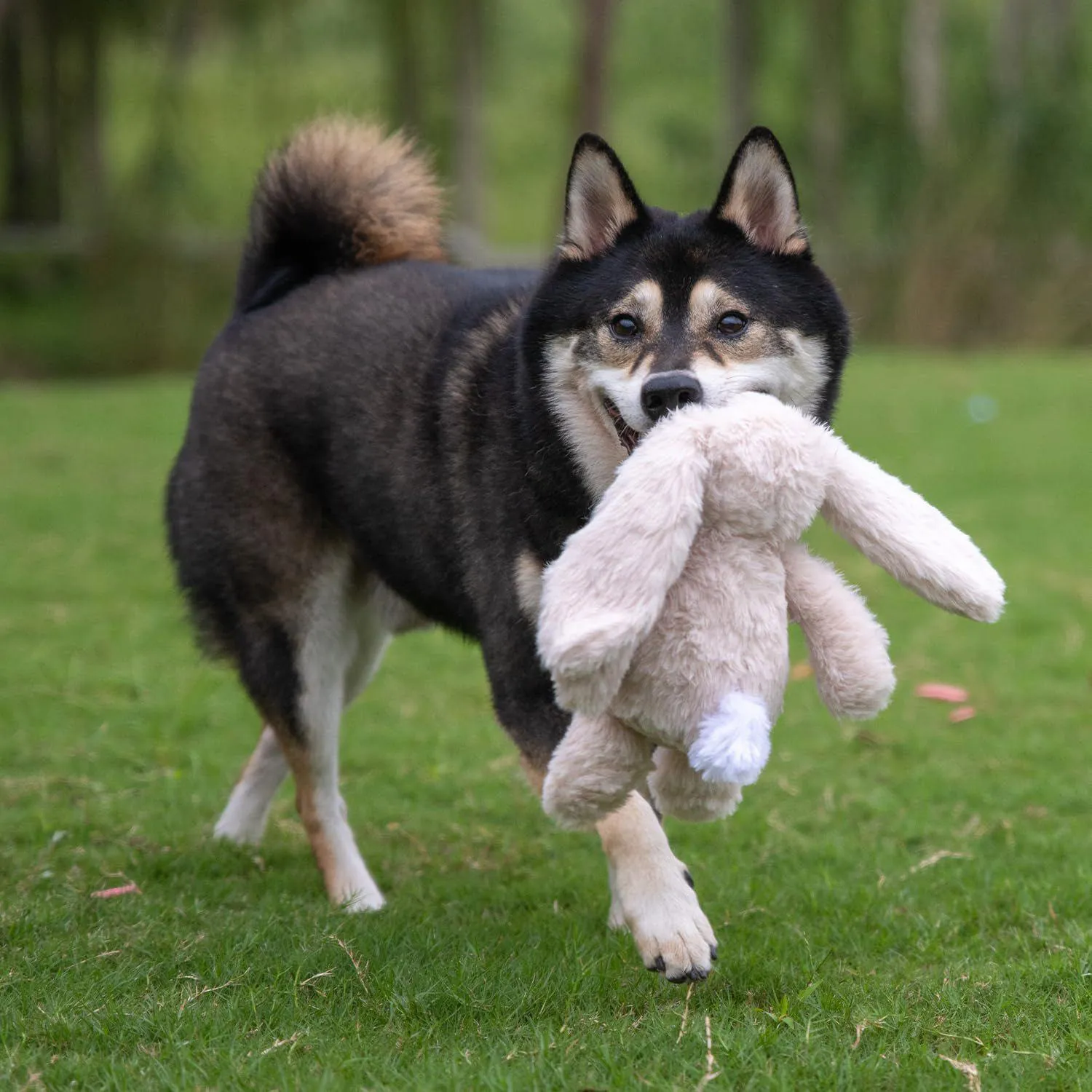 Juguete De Peluche Chirriante Para Perros Con Tela Suave Y Resistente 6