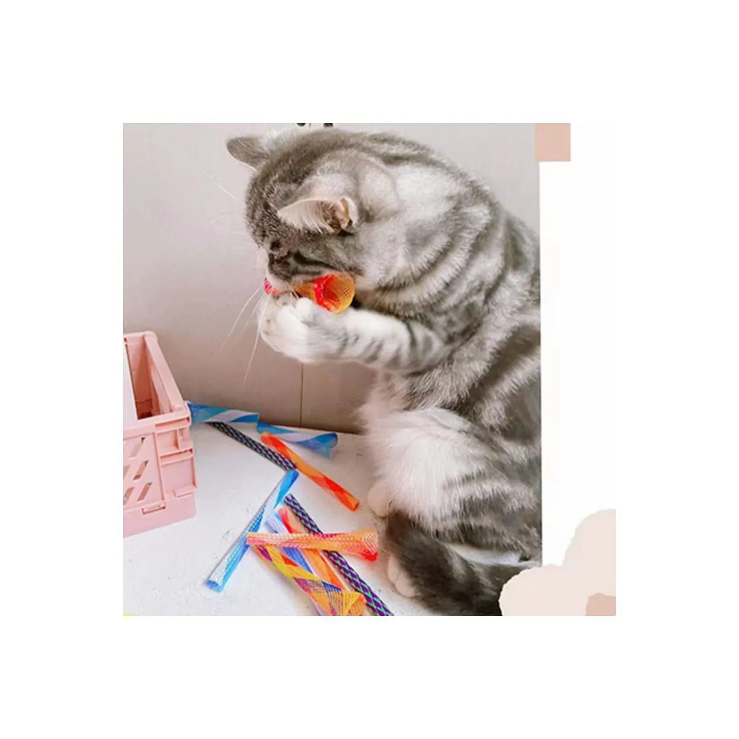Juguete Interactivo para Gato Tubo de Resorte Colorido ISMARTEN 6