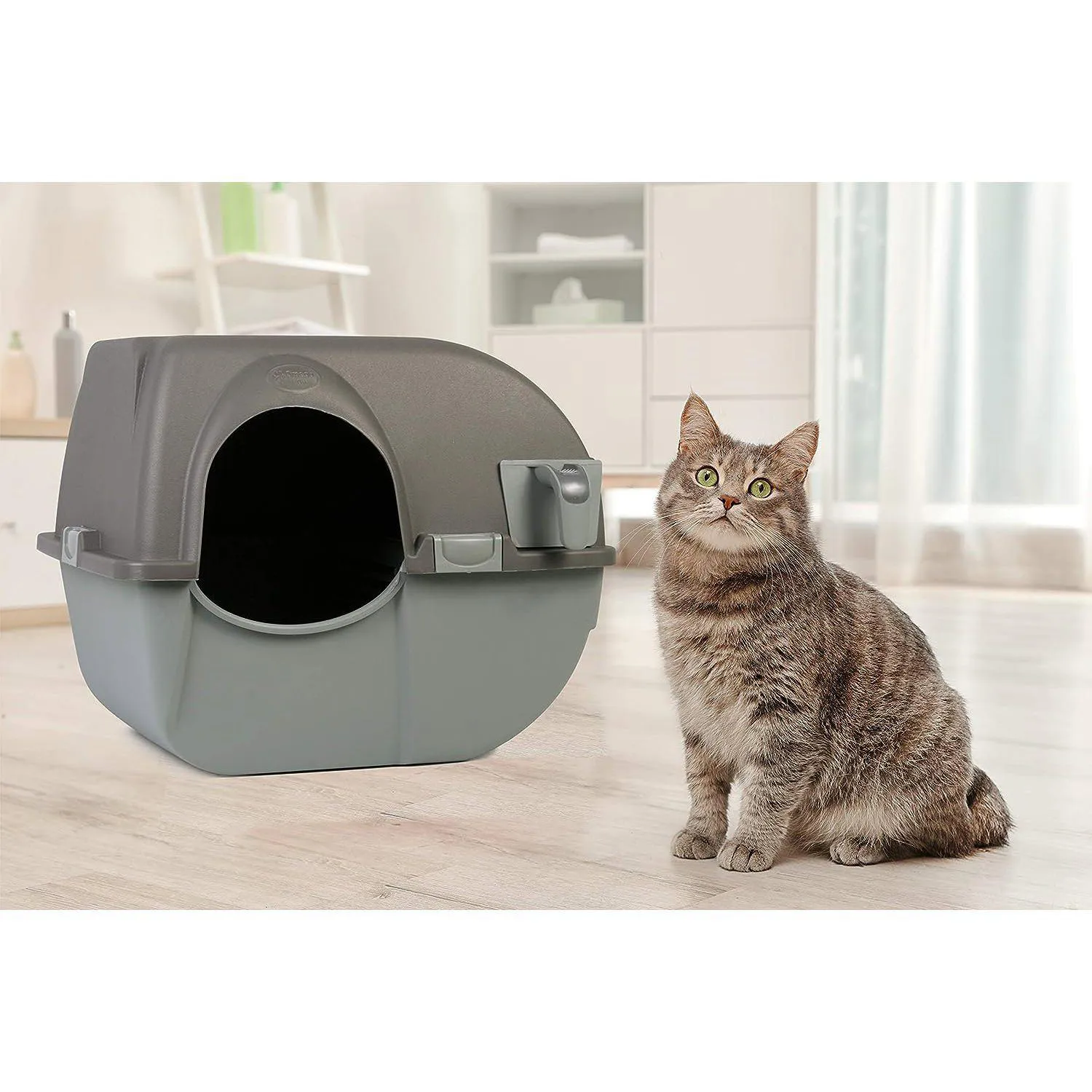 Arenero Autolimpiante para Gatos con Bandeja Extraíble Color Marrón 6