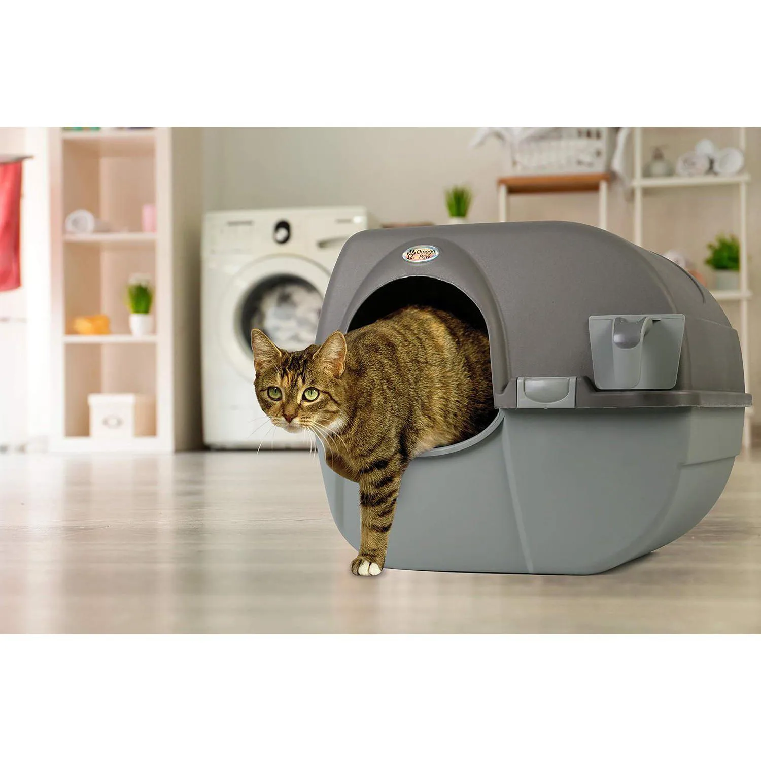 Arenero Autolimpiante para Gatos con Bandeja Extraíble Color Marrón 7