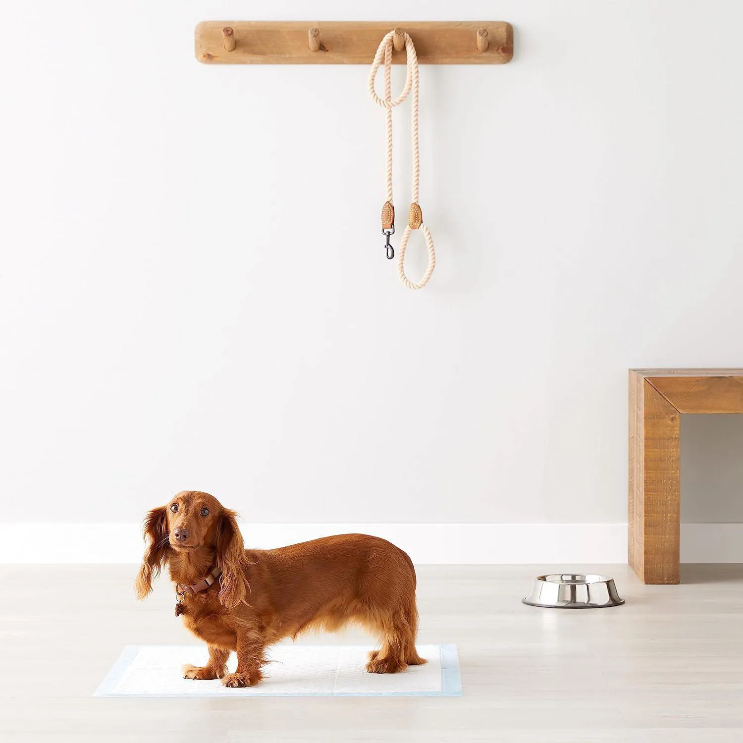 Paneles Absorbentes para Perros con Alta Capacidad y Secado Instantáneo 6