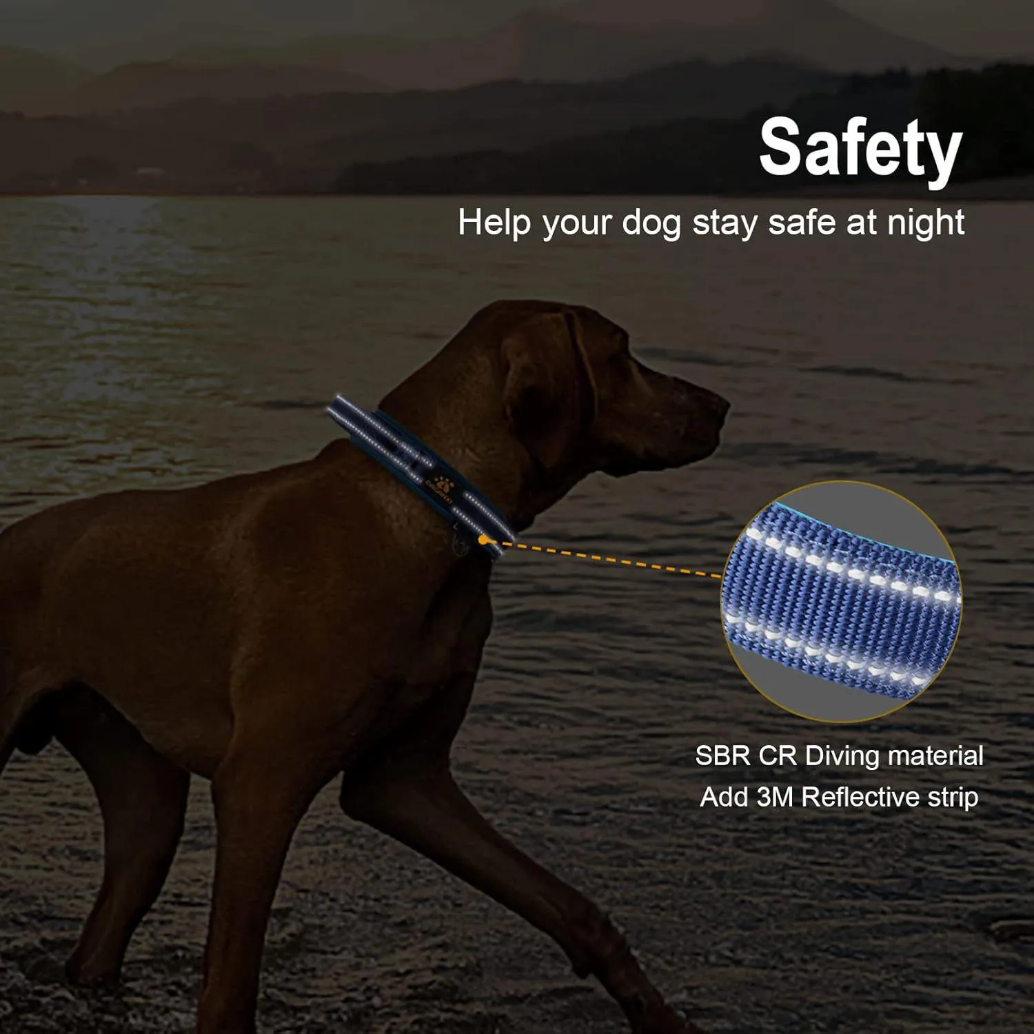 Collar para Perros Neopreno Ajustable con Dispensador 5