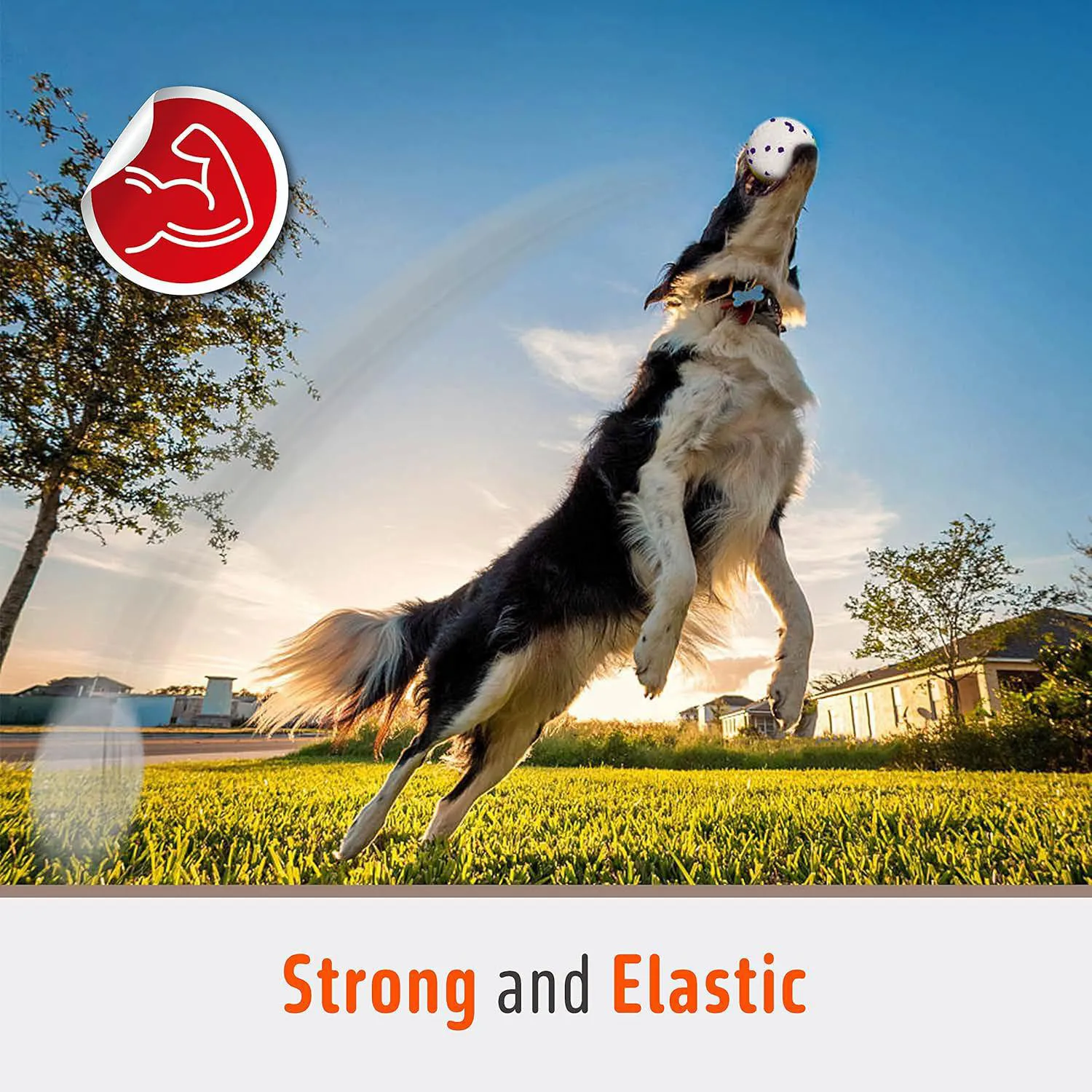 Pelotas De Tenis Para Perros Resistentes Al Agua Con Limpieza Dental FOFOS 3