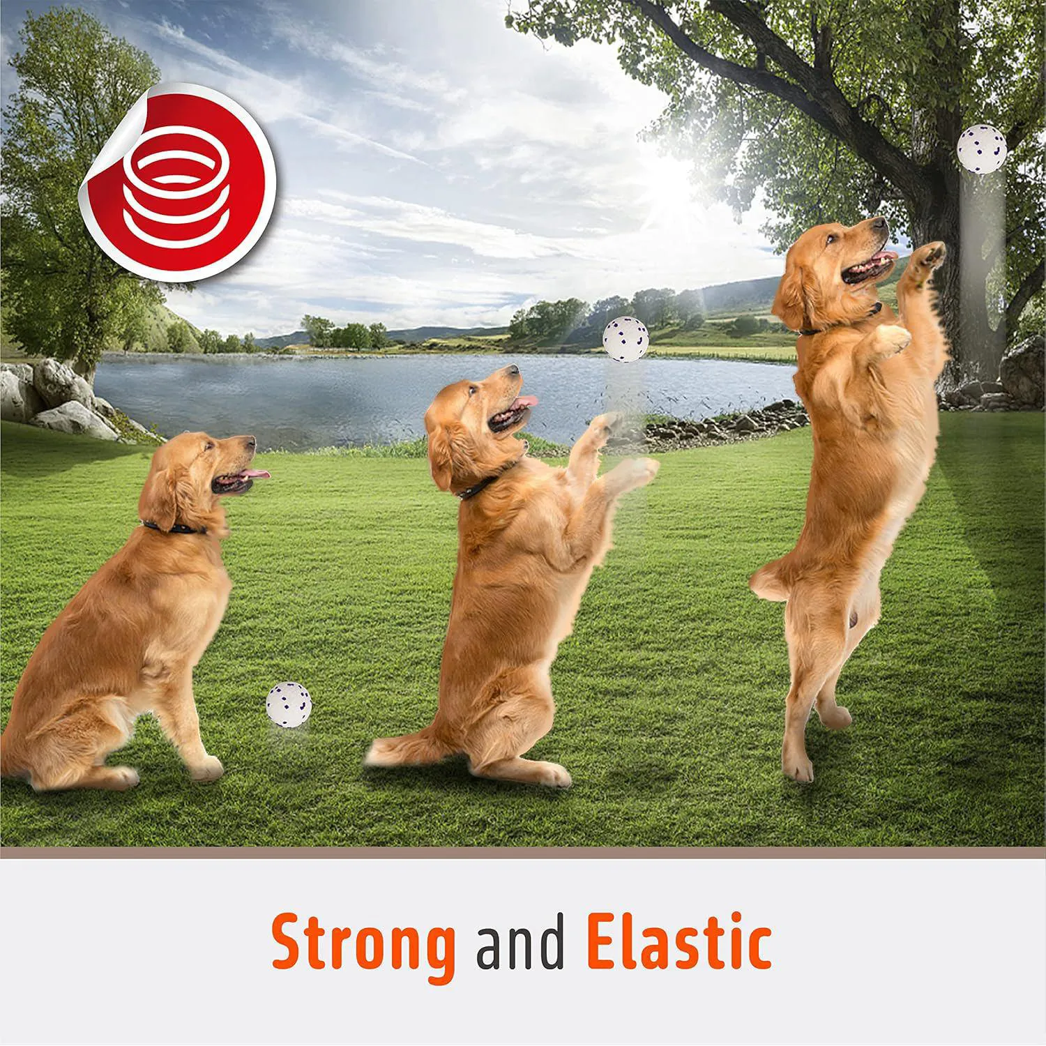 Pelotas De Tenis Para Perros Resistentes Al Agua Con Limpieza Dental FOFOS 4