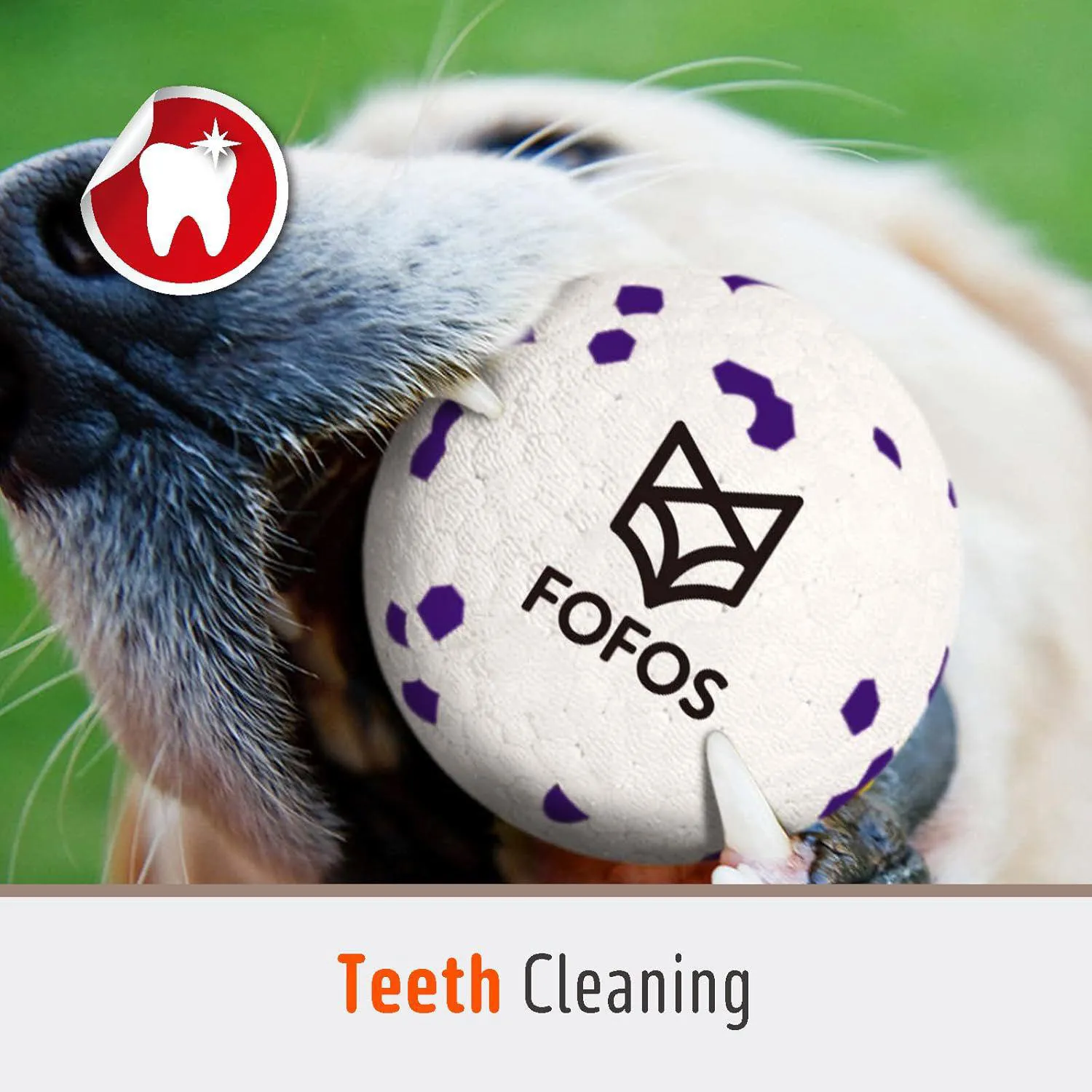 Pelotas De Tenis Para Perros Resistentes Al Agua Con Limpieza Dental FOFOS 6
