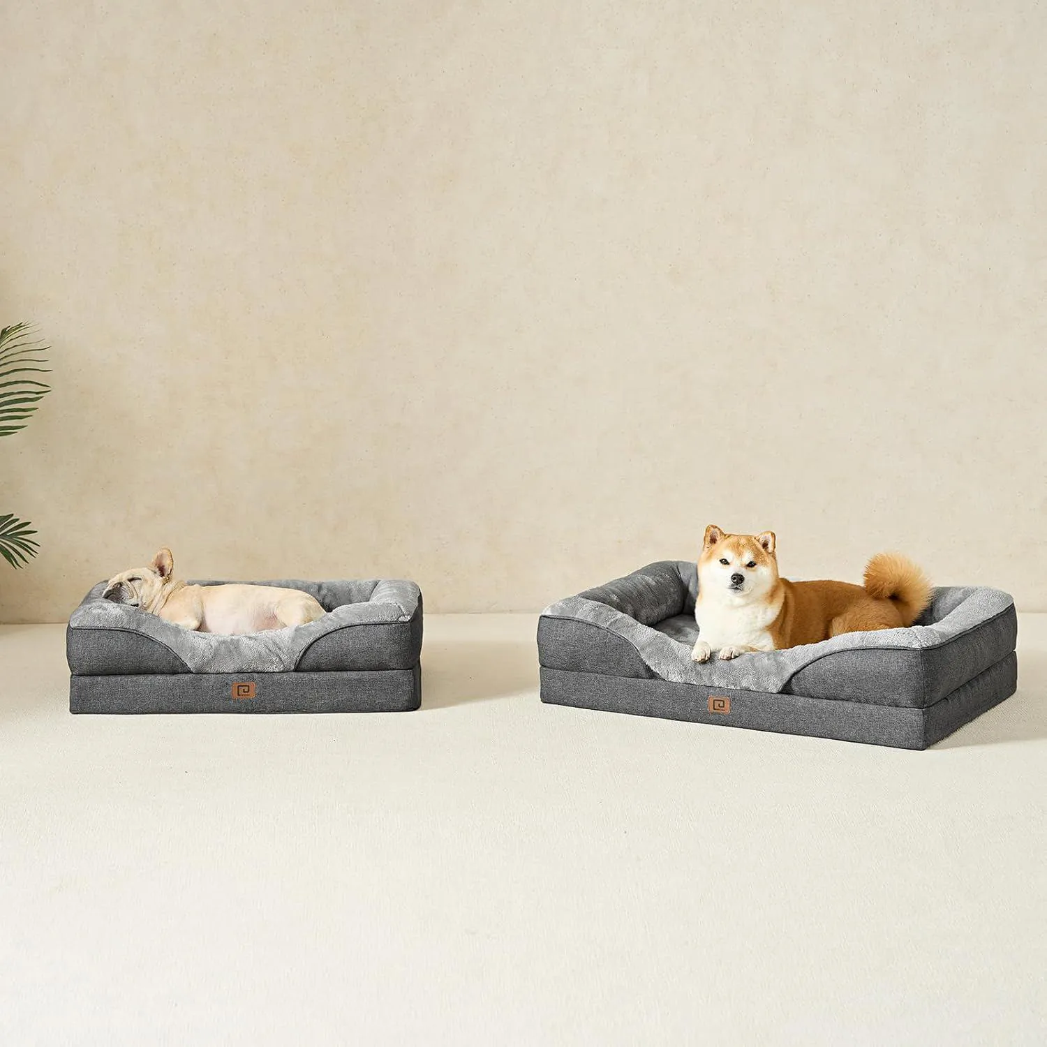 Cama Ortopédica para Perro XL Impermeable 42x30x7.5 9