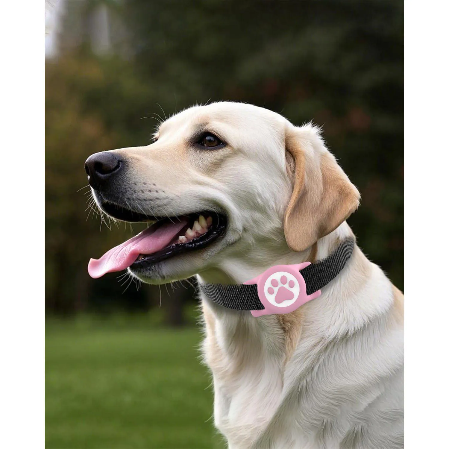 Soporte Airtag Impermeable para Mascotas Silicona Universal 5