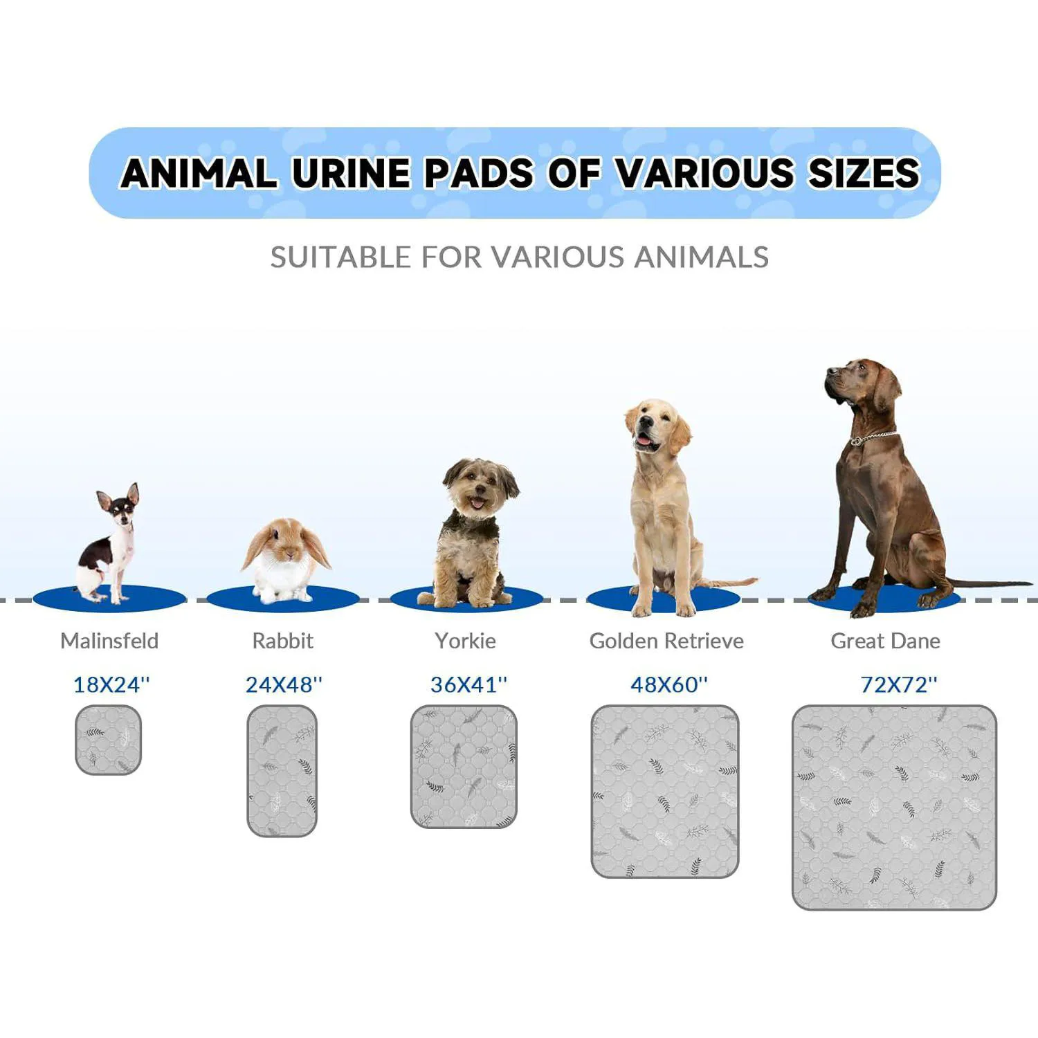 Almohadillas Reutilizables Impermeables para Entrenamiento de Mascotas 6