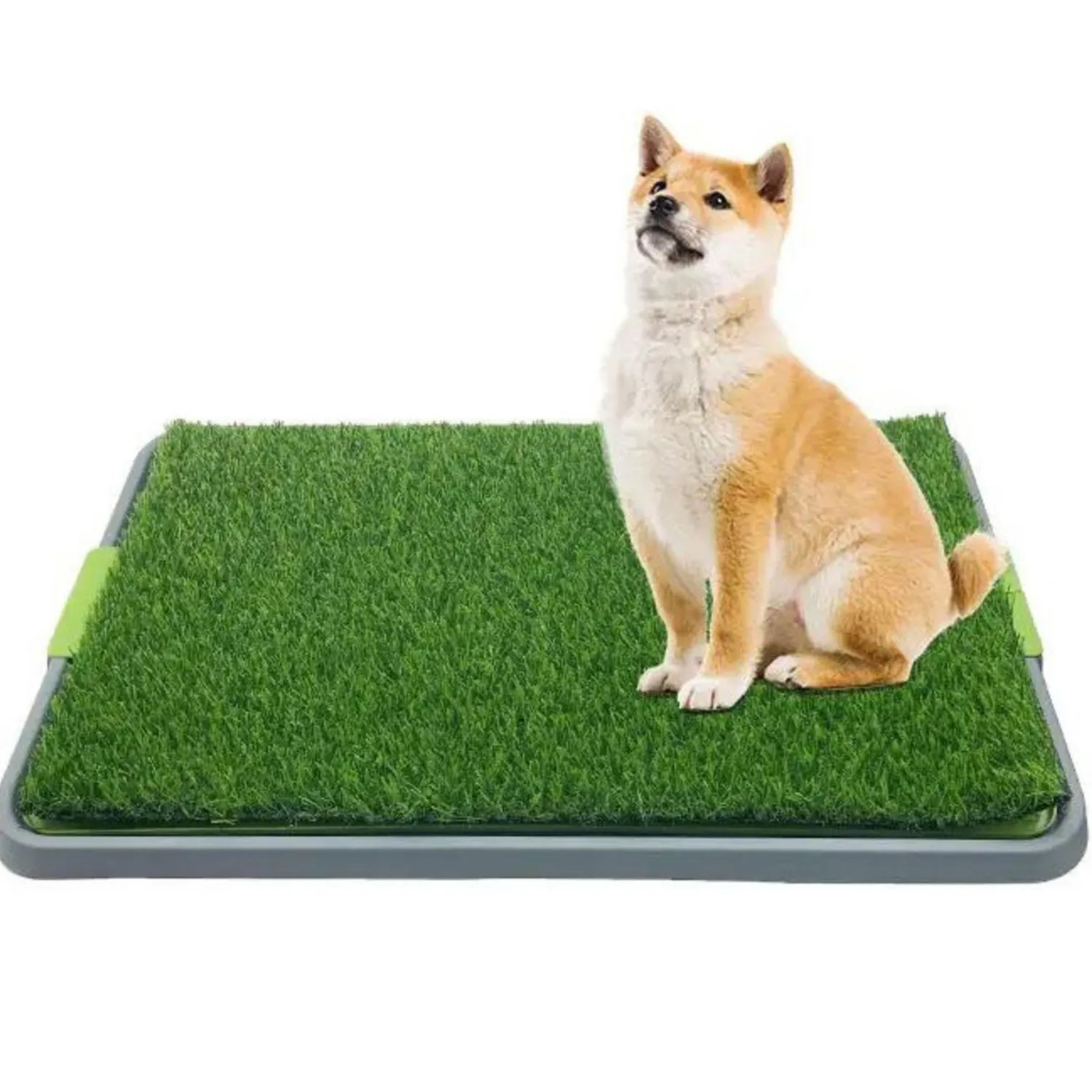 Tapete Baño Entrenamiento Para Perros Gatos Ecológico 42X67Cm 8