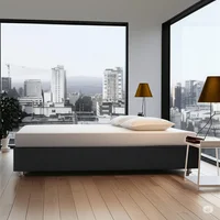 Base Cama Premium Dividida Sencilla 100x190cm Tela Especial Gris Set X 12 Unidades