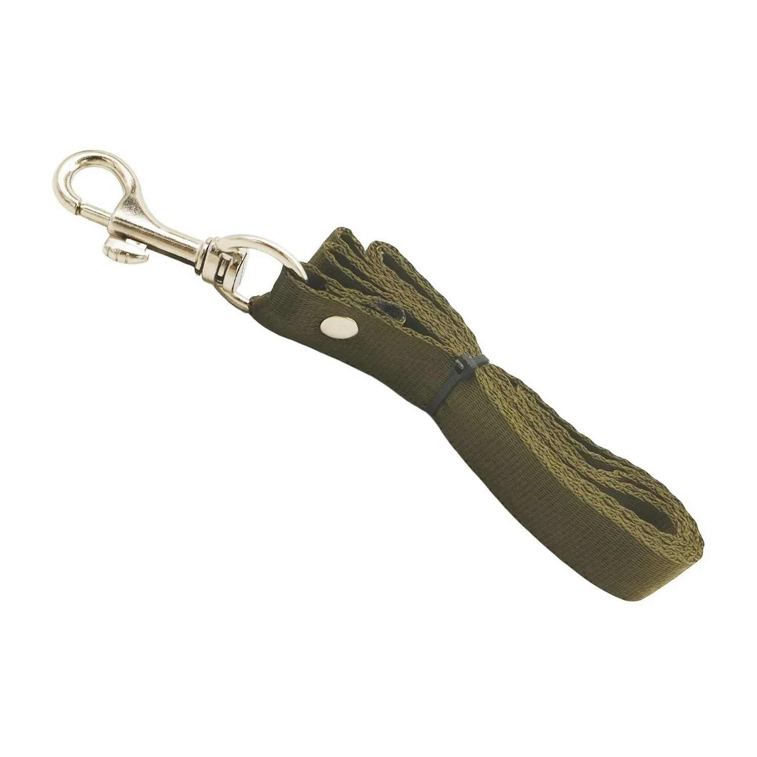 Correa Para Mascotas 1pul Colores Petizoos