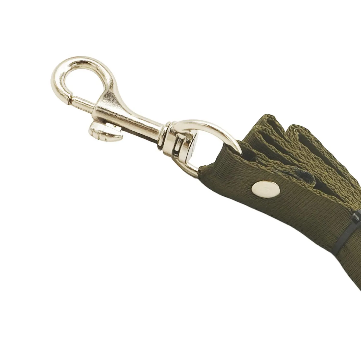 Correa Para Mascotas 1pul Colores Petizoos