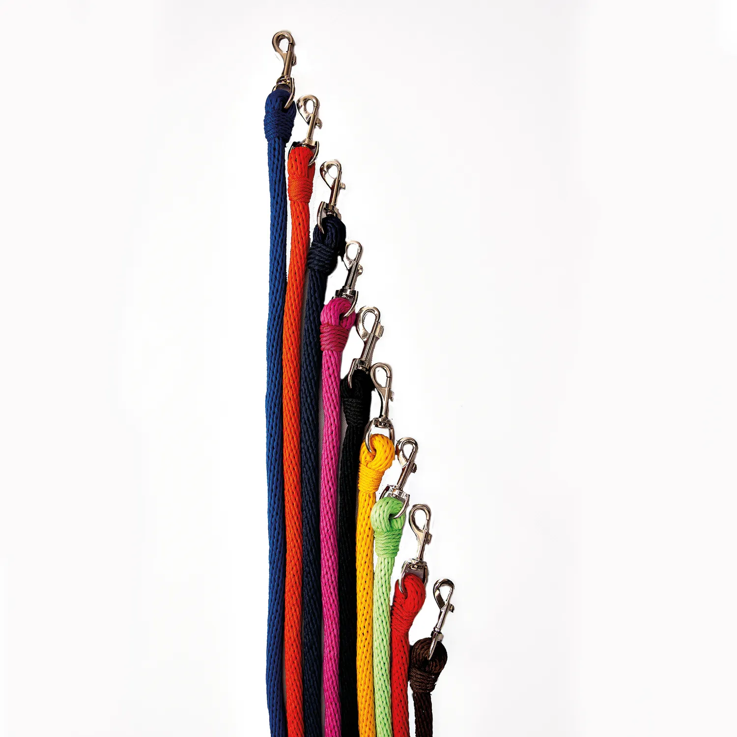 Cordón Premium Petizoos 1.20 Cm Unicolor Peti