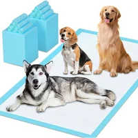 Almohadillas Desechables Extra Grandes para Entrenamiento de Mascotas