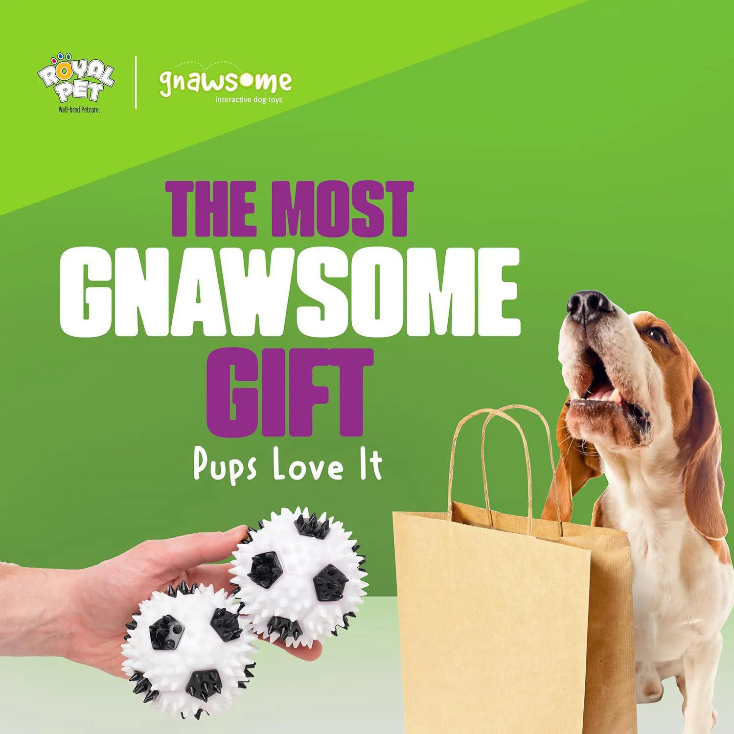 Pelota Interactiva Gnawsome Para Perros Que Cuida Dientes y Encías 7
