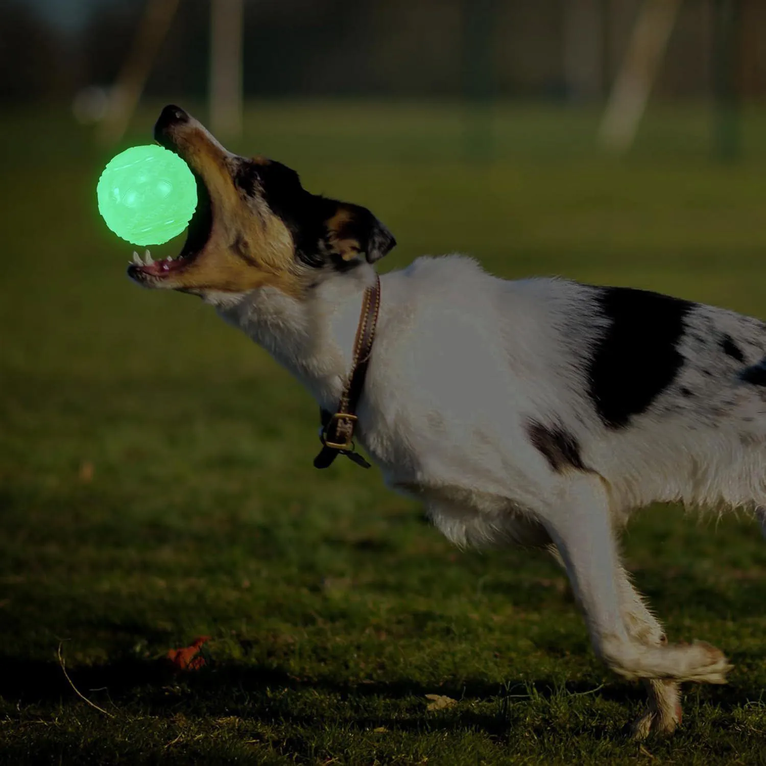 Pelotas Chirriantes Para Perros Que Brillan En La Oscuridad Paquete De Cuatro 7