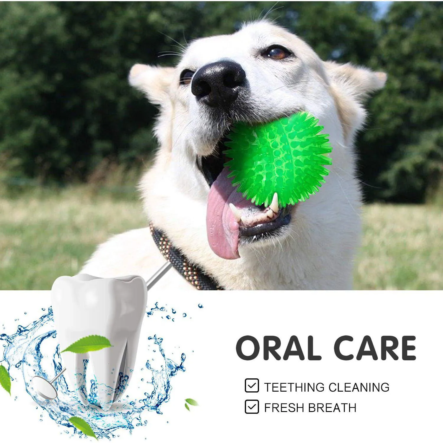 Pelotas Chirriantes Para Perros Pequeños Con Picos De Goma Segura 6