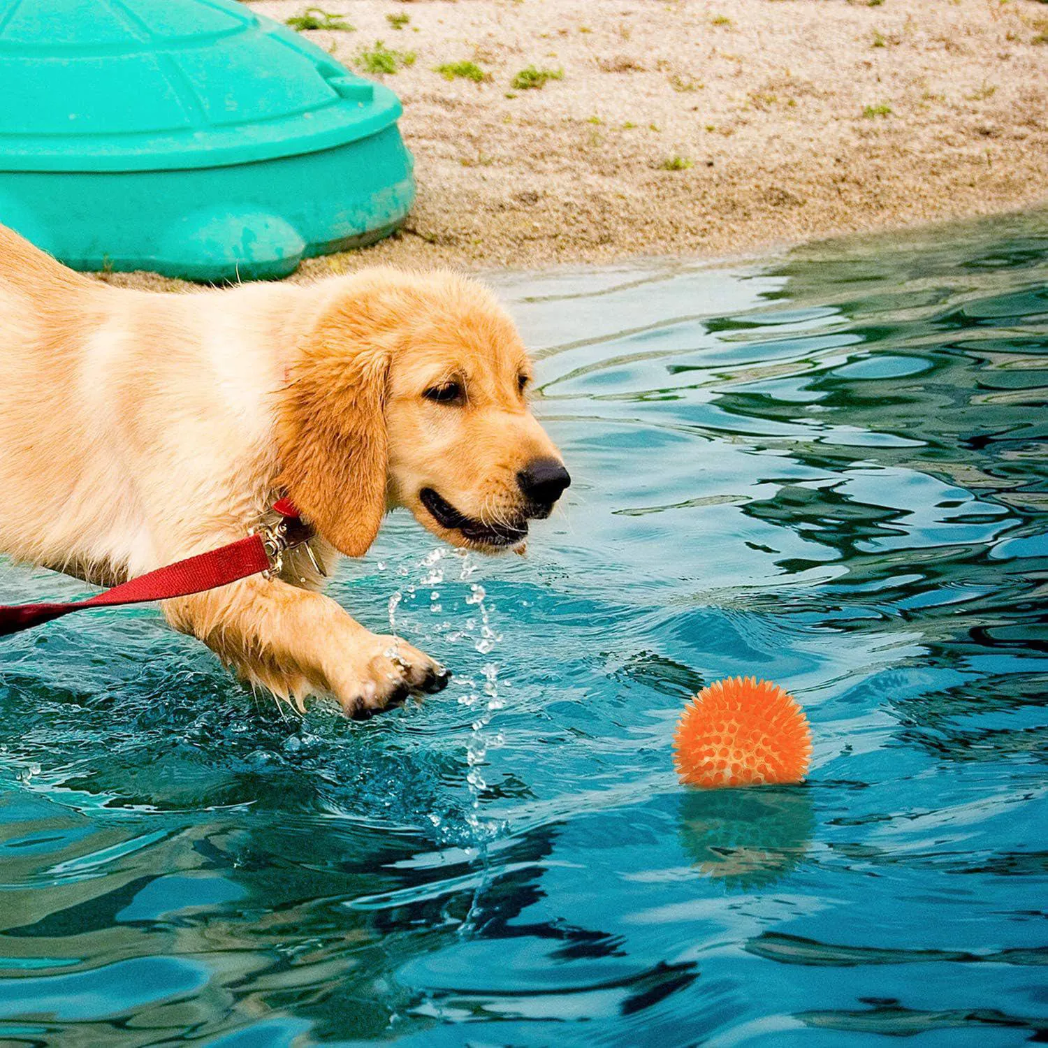 Pelotas Chirriantes Para Perros Pequeños Con Picos De Goma Segura 7