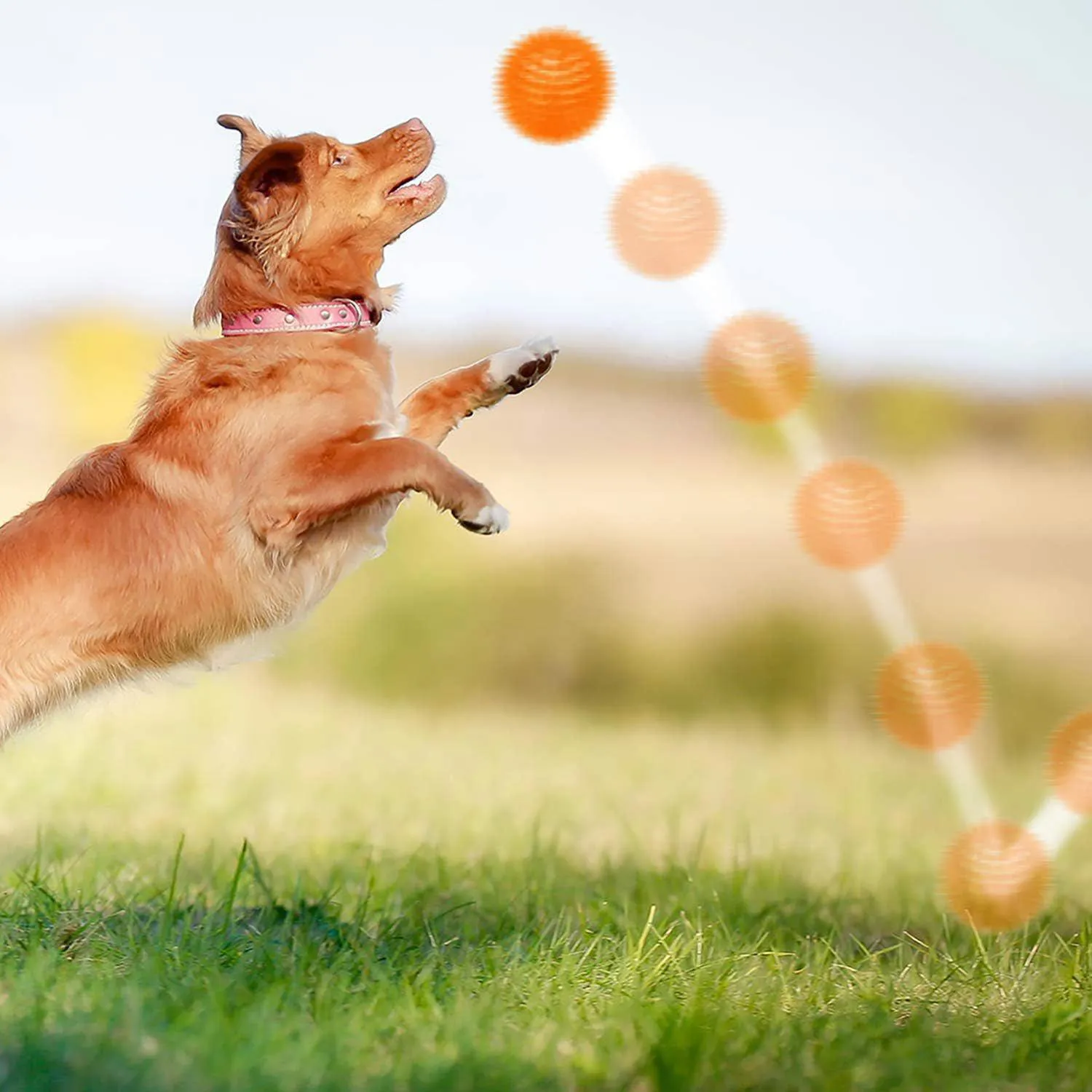 Pelotas Chirriantes Para Perros Pequeños Con Picos De Goma Segura 8