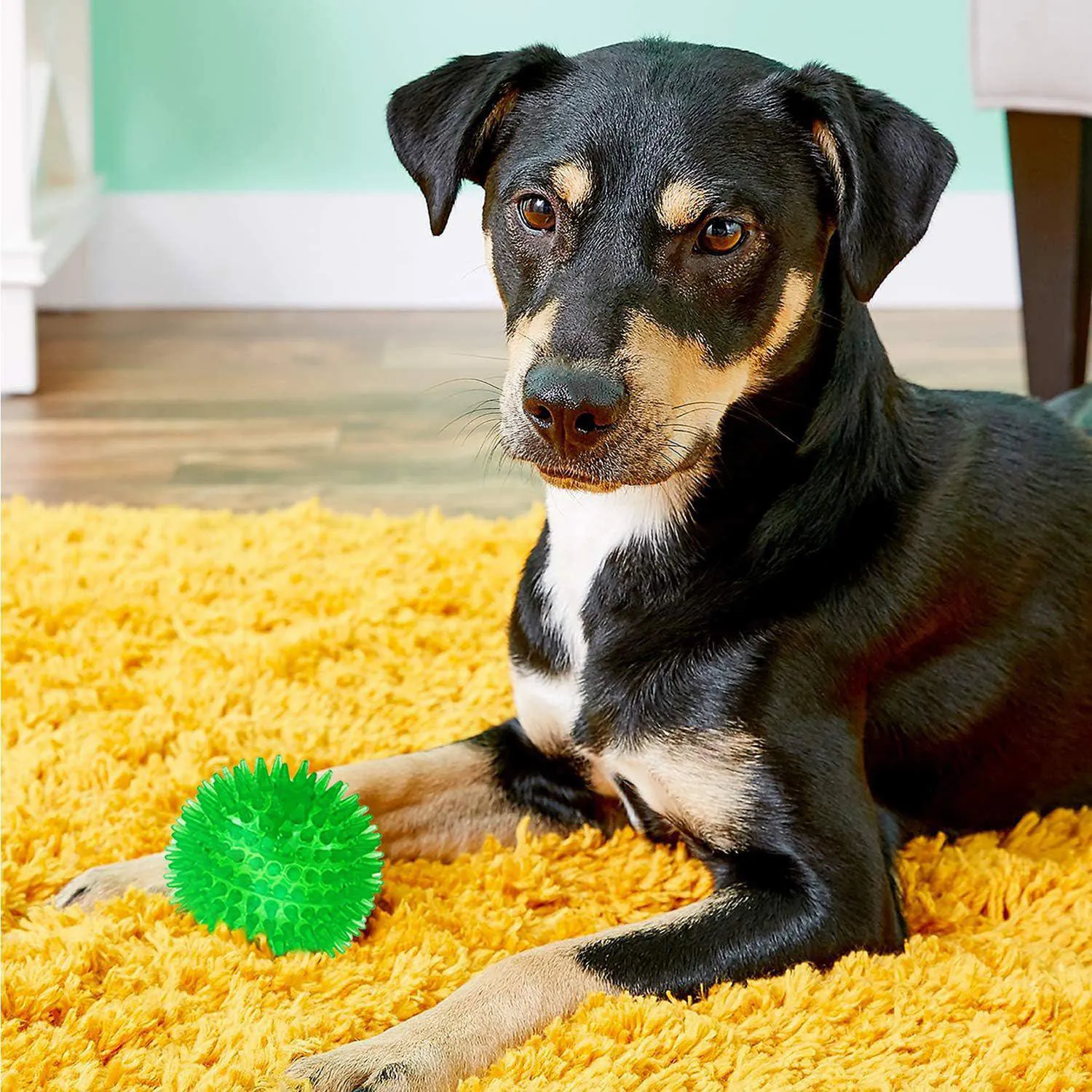 Pelotas Chirriantes Para Perros Pequeños Con Picos De Goma Segura 9