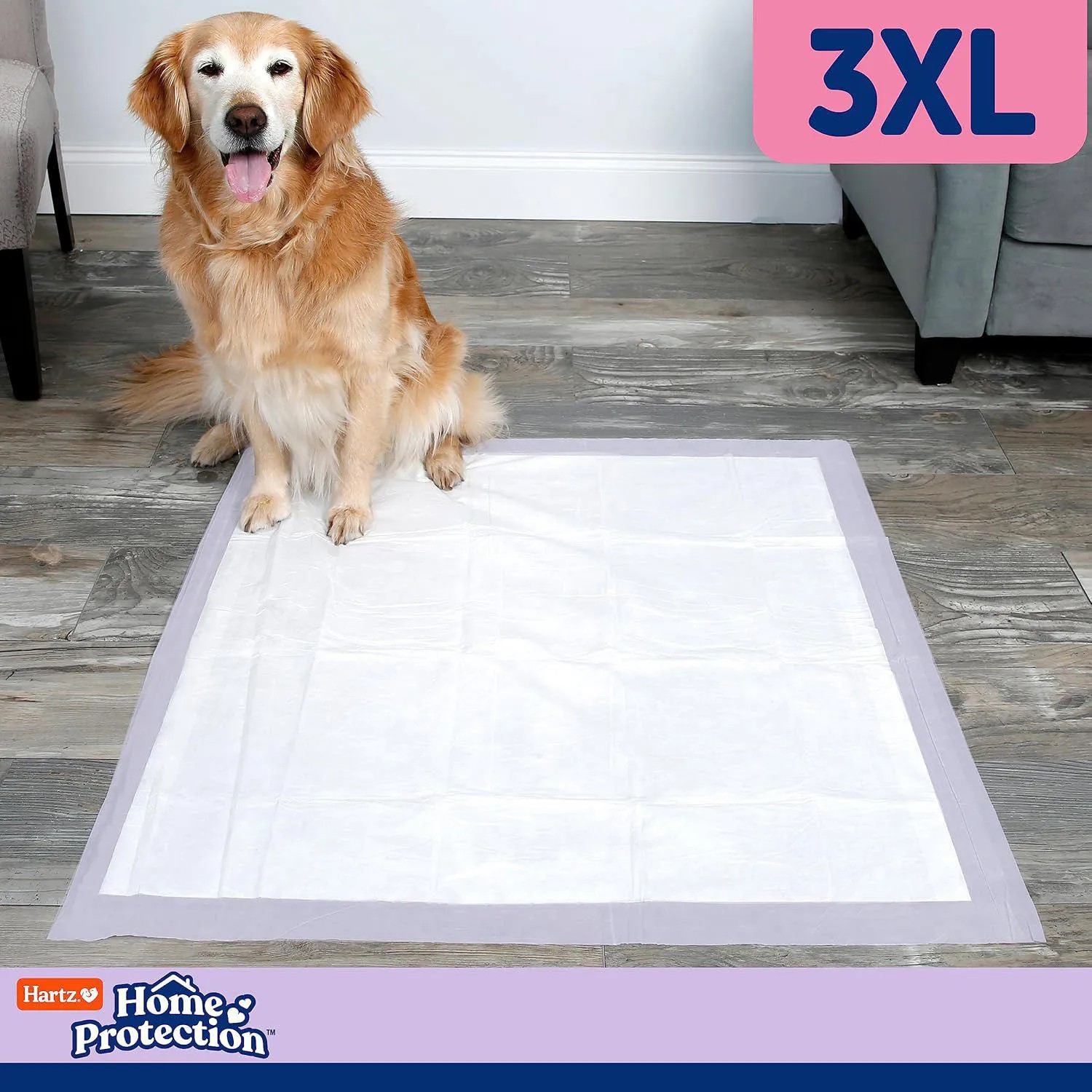 Almohadillas Perfumadas Superabsorbentes Para Perros Hartz Home Protection 6