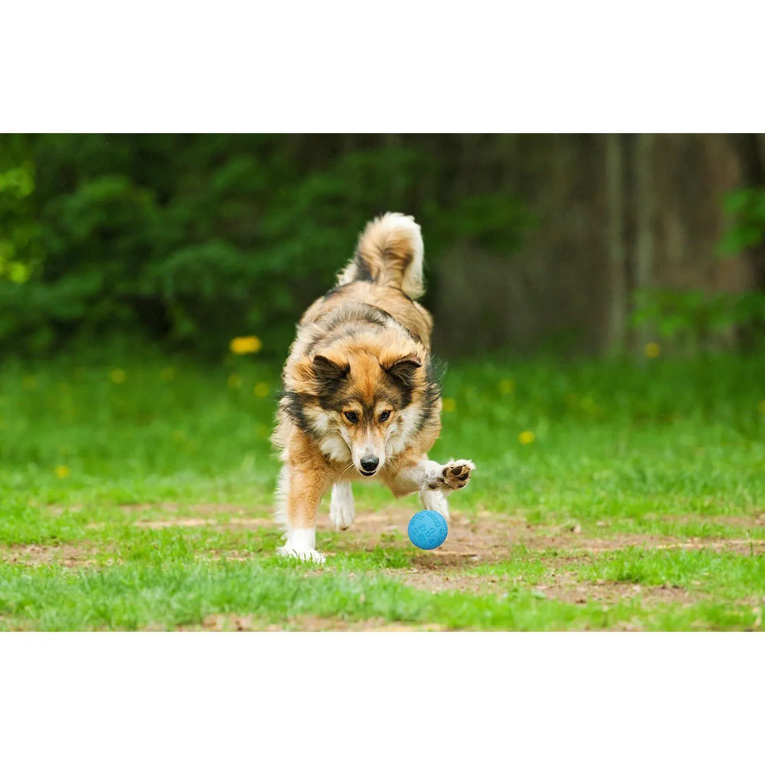 Pelotas De Goma Para Perros Paquete De 3 Resistentes Sin BPA Tamaño Tenis 5