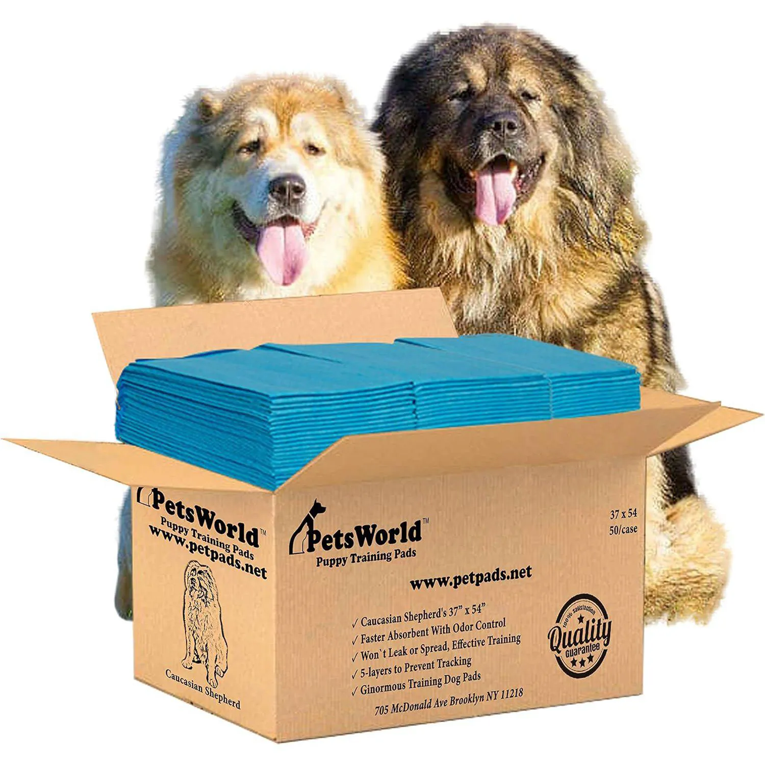 Almohadillas Para Entrenamiento De Perros PETSWORLD Resistentes Y Absorbentes