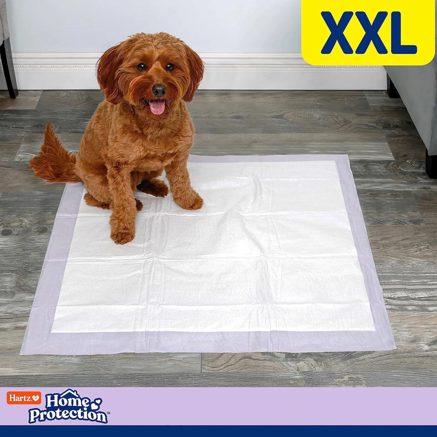 Almohadillas Perfumadas Superabsorbentes Para Perros Hartz Home Protection 6