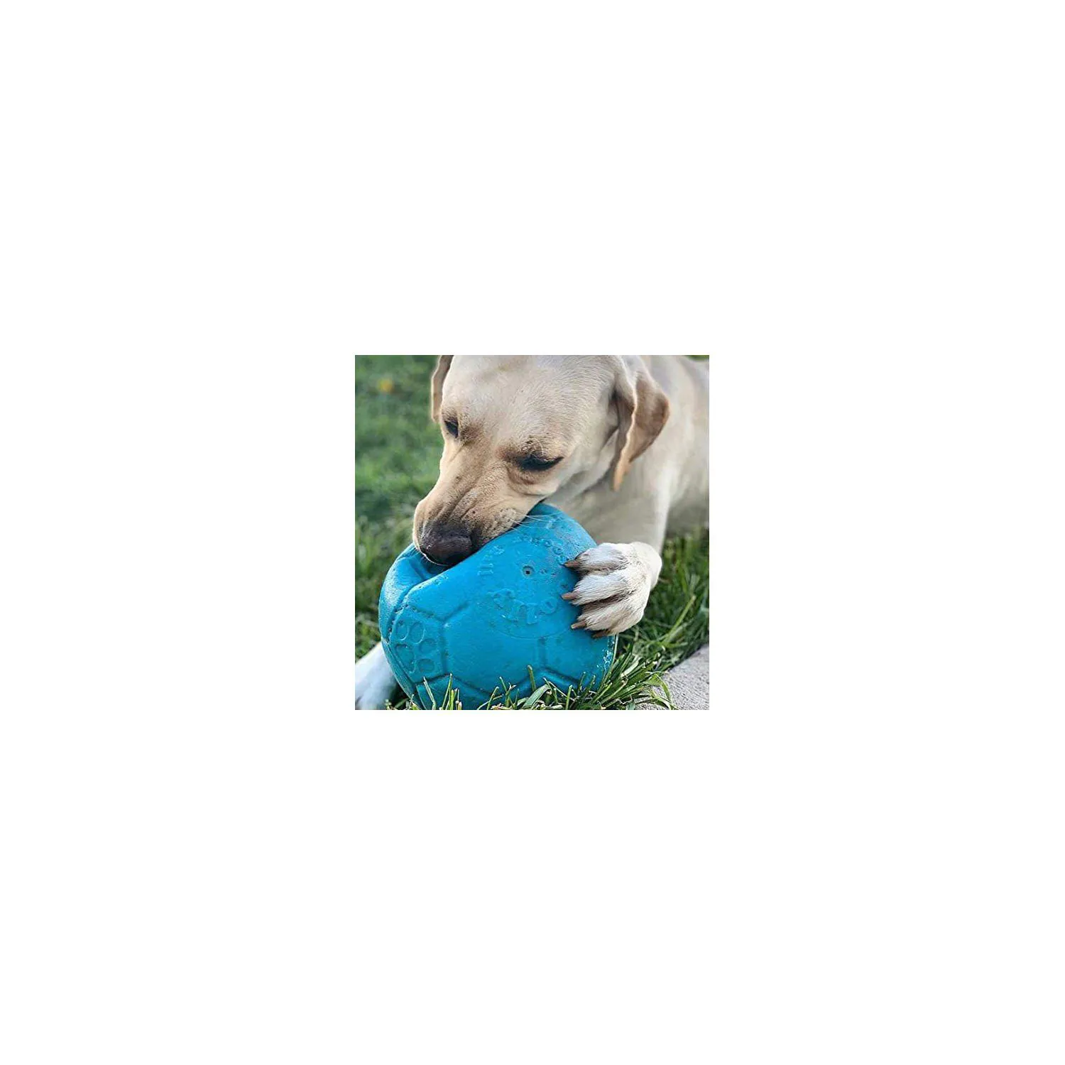 Pelota Flotante para Perros con Rebote Activo Color Azul Océano 4